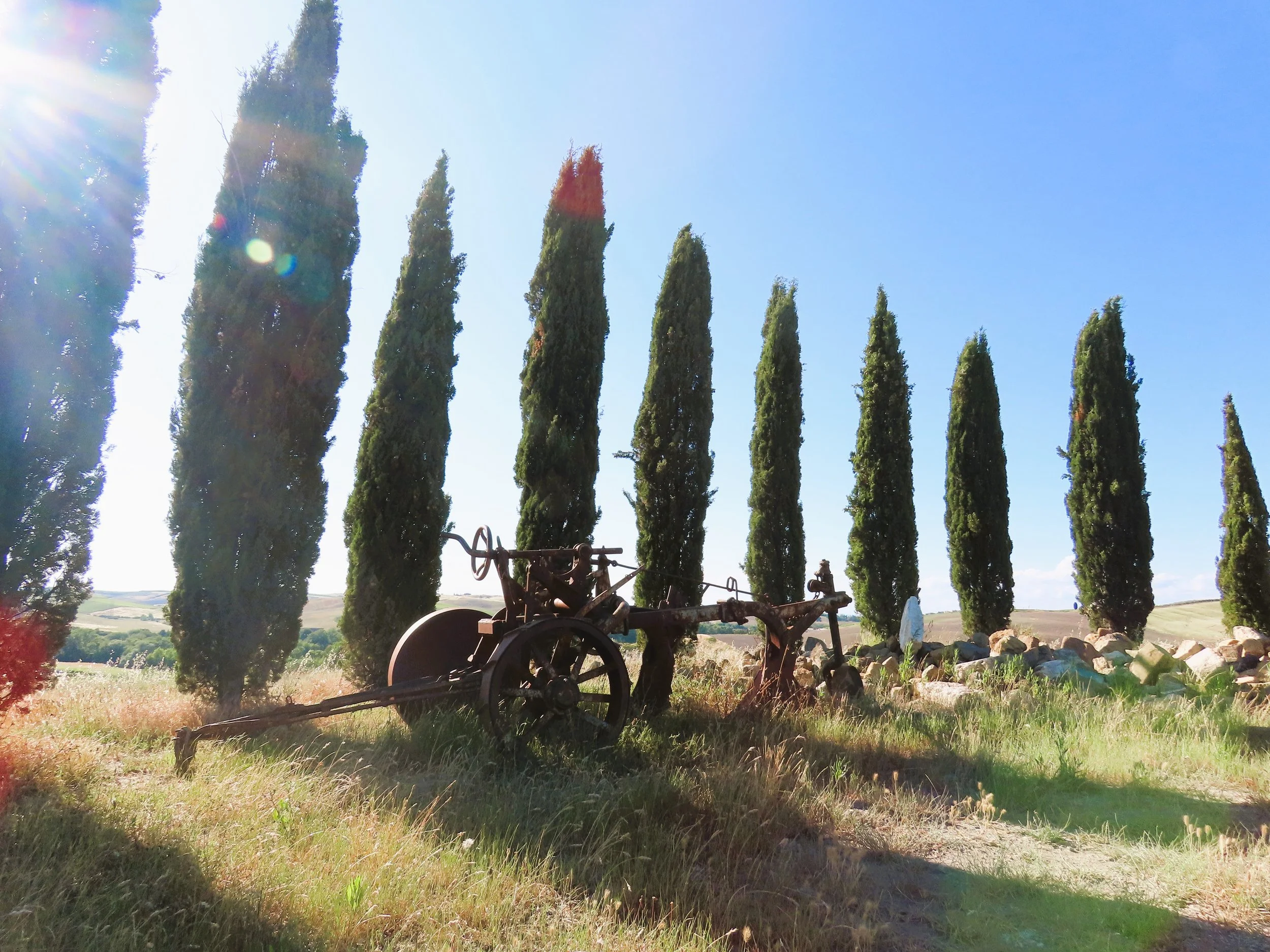 Antico macchinario agricolo abbandonato nel prato, con fila di cipressi sullo sfondo, cielo azzurro e sole