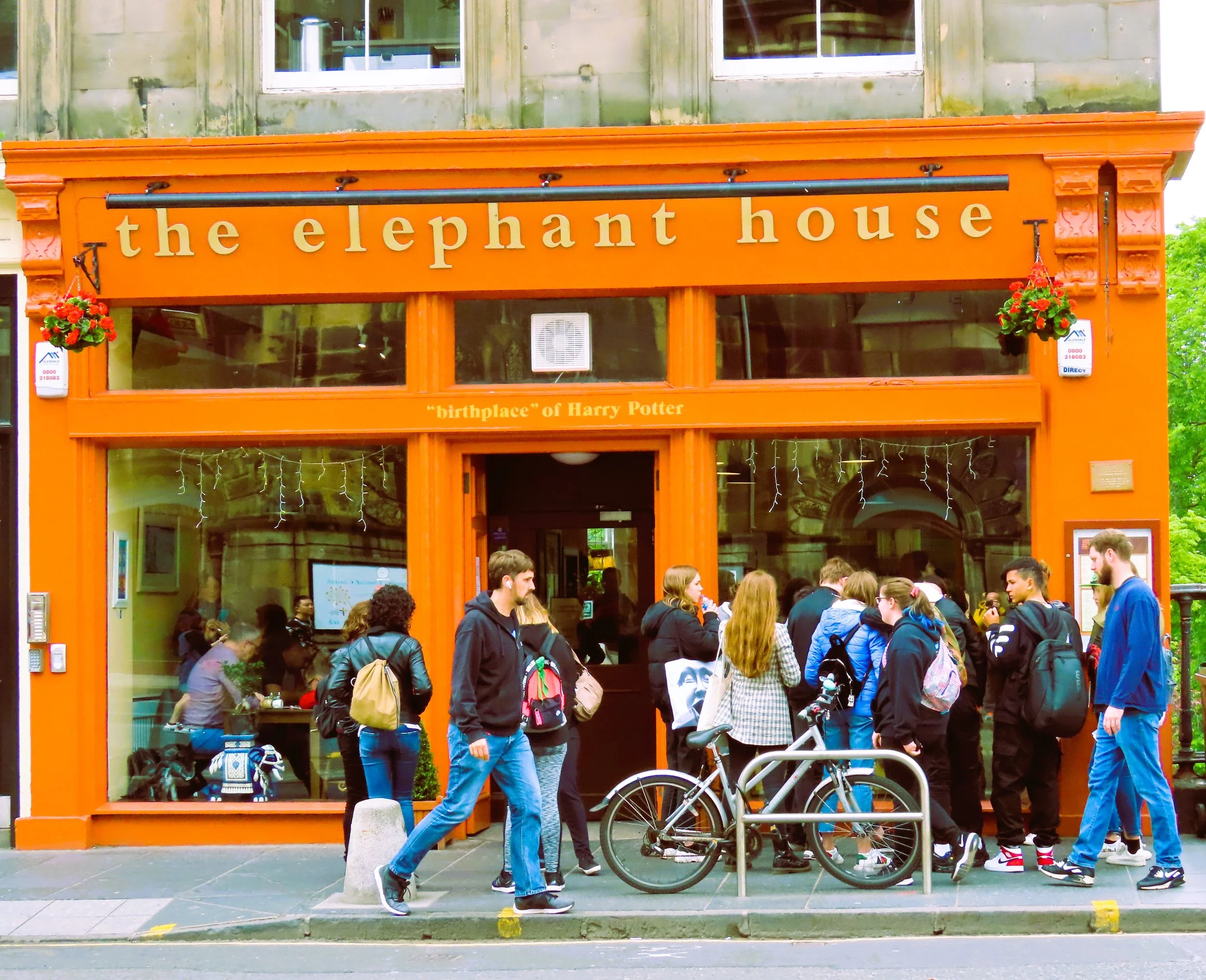 Esterno di un negozio con la scritta "the elephant house" in lettere grandi arancioni, con molte persone in fila fuori, alcune con zaini, e una bicicletta parcheggiata sulla strada.