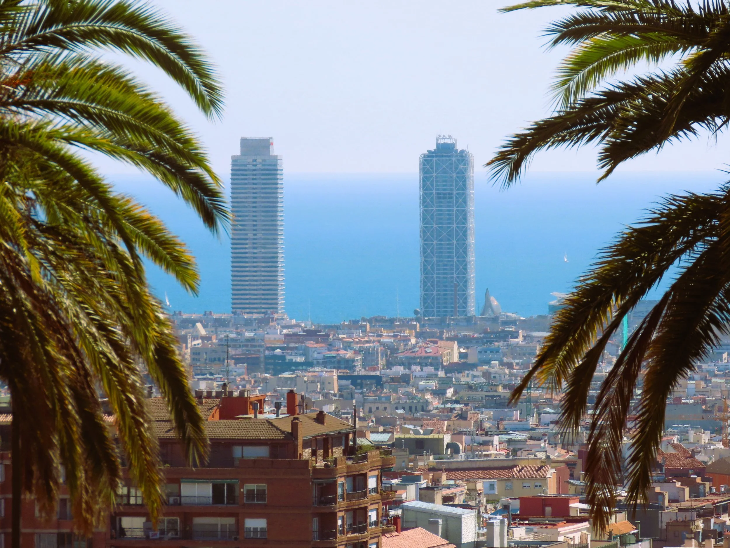 Vista della città di Barcellona con due grattacieli sotto il cielo blu, incorniciata da palme verdi