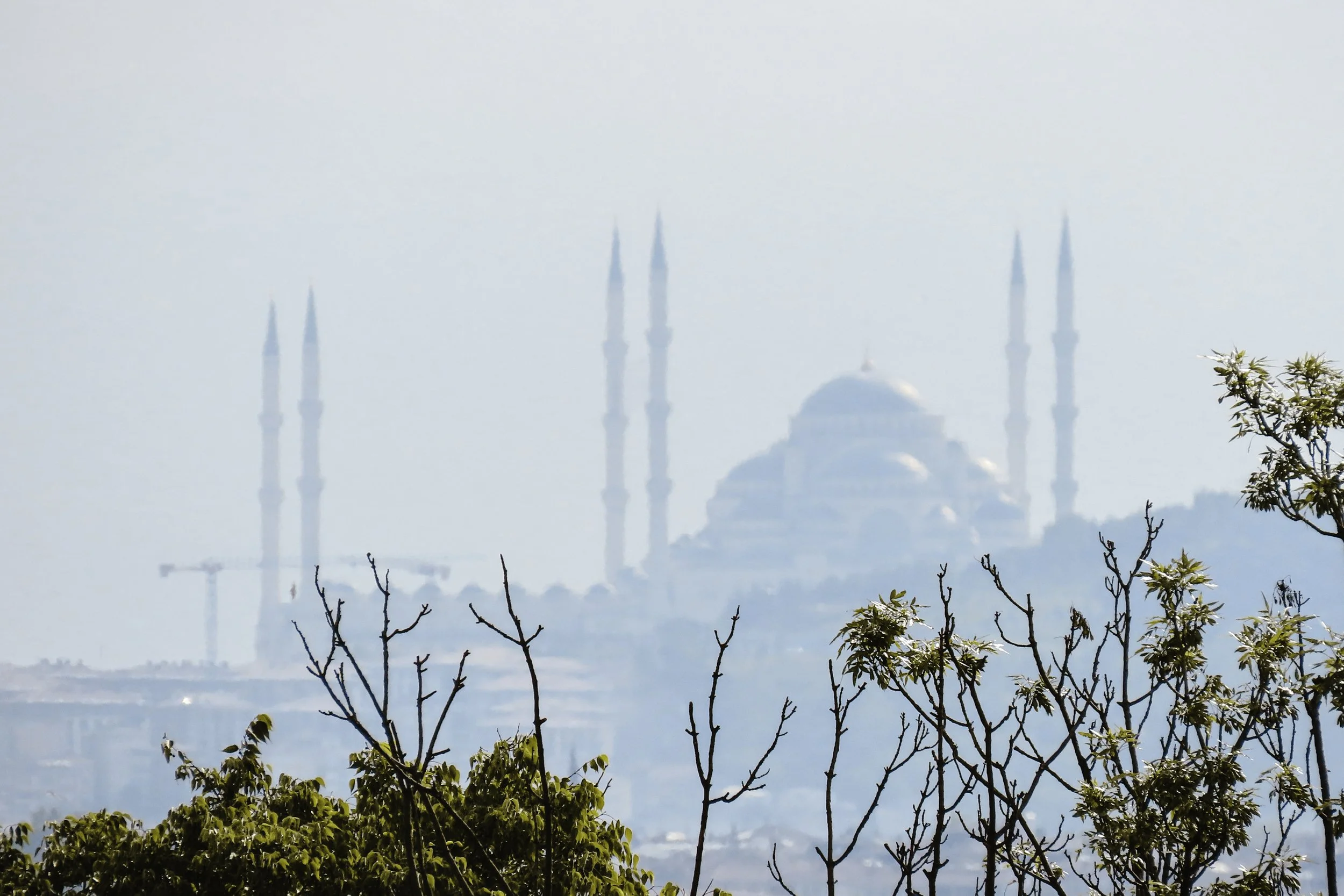 Vista di una moschea con minareti, osservata attraverso degli alberi in primo piano, sfocata sullo sfondo.