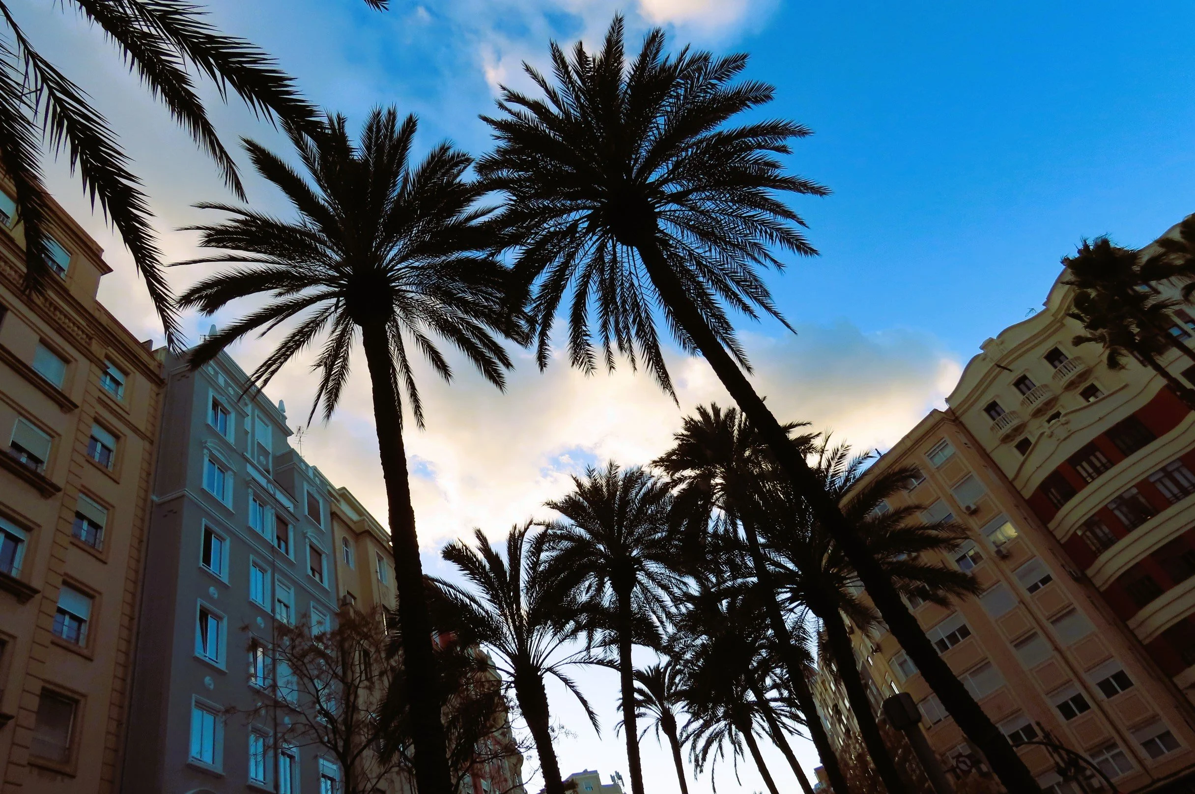 Palme di fronte a edifici residenziali sotto un cielo azzurro con nuvole.