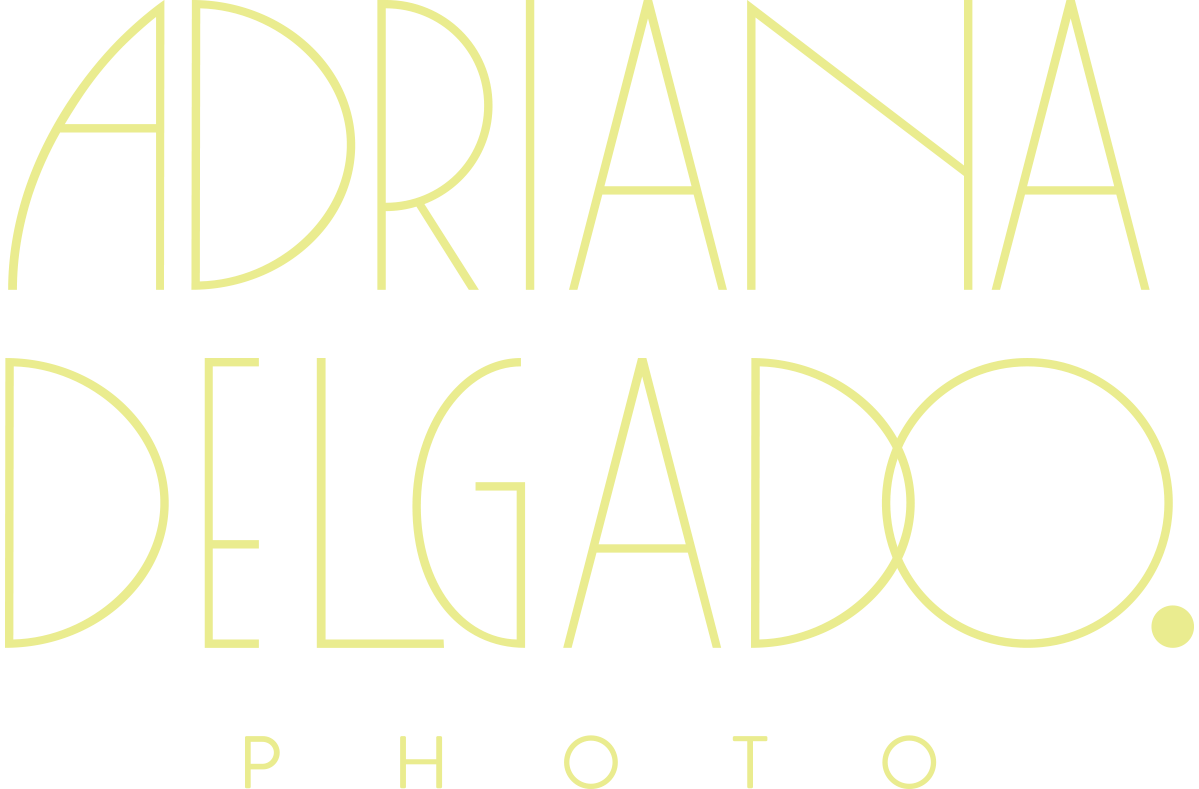 Your Site Title