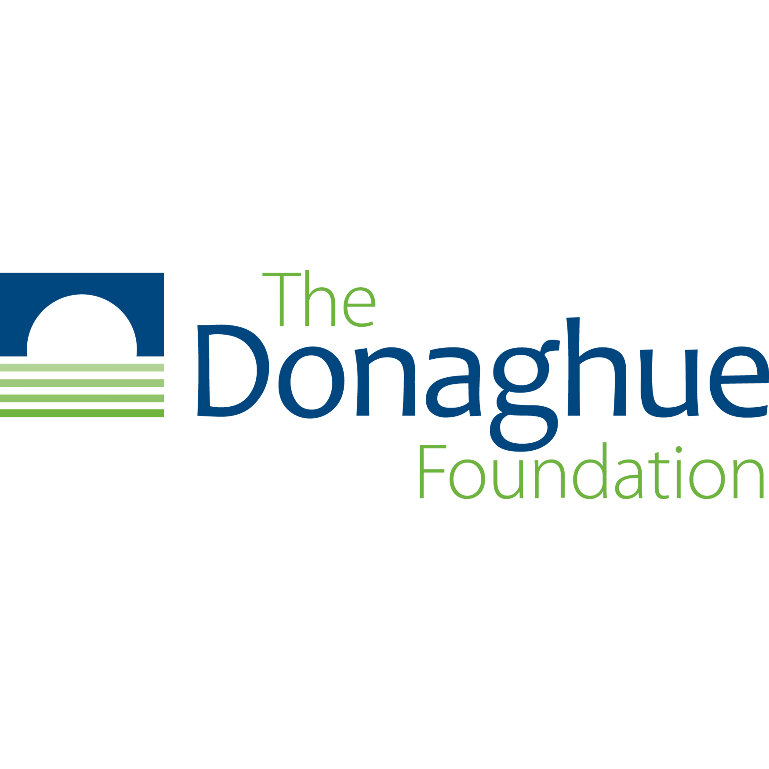 Logo for The Donaghue Foundation with stylized text in green and blue, and a graphical element resembling a stylized building or structure.