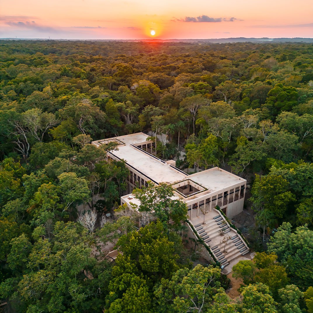 jungle retreat hotel