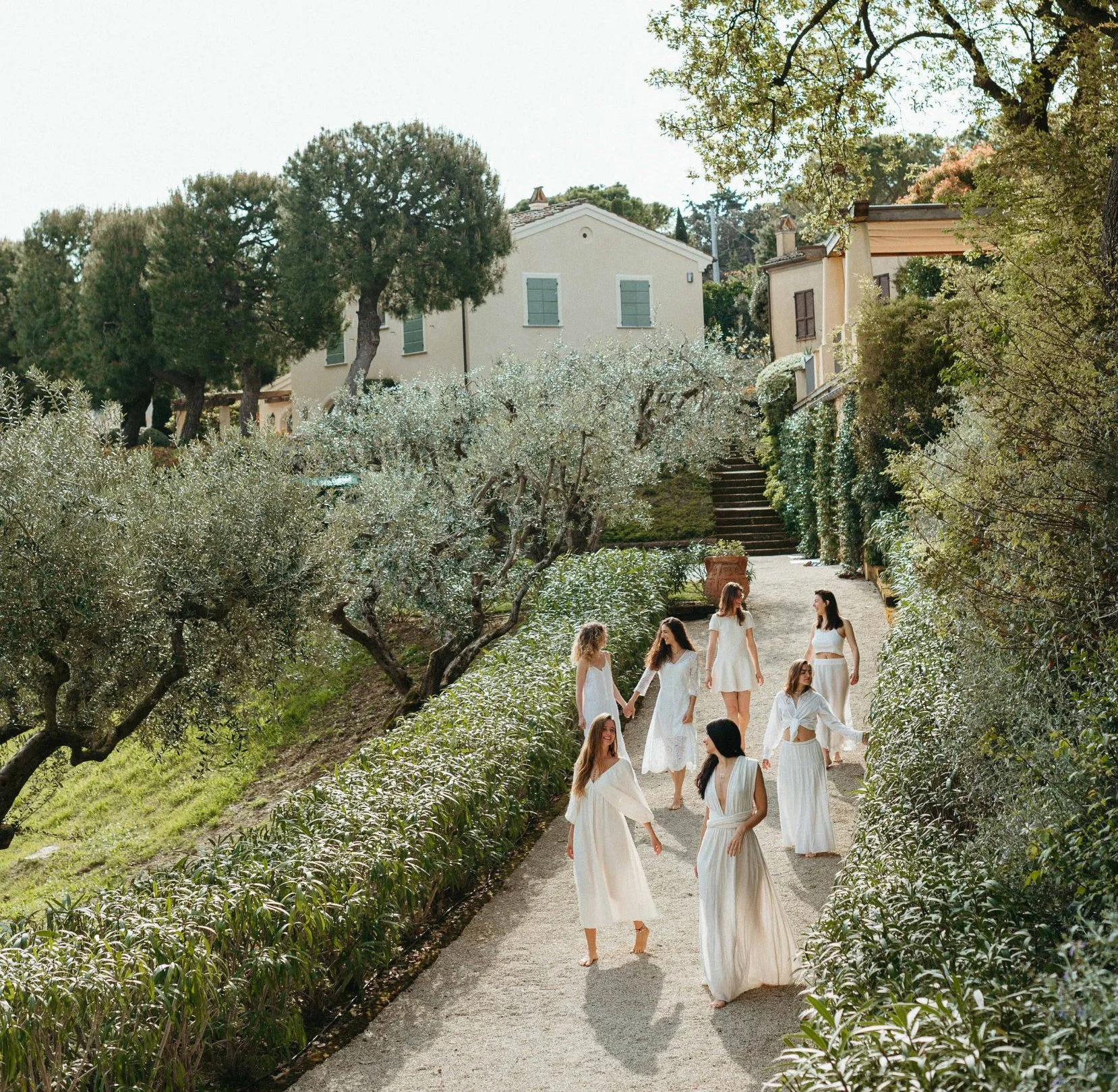 Oliveto Estate