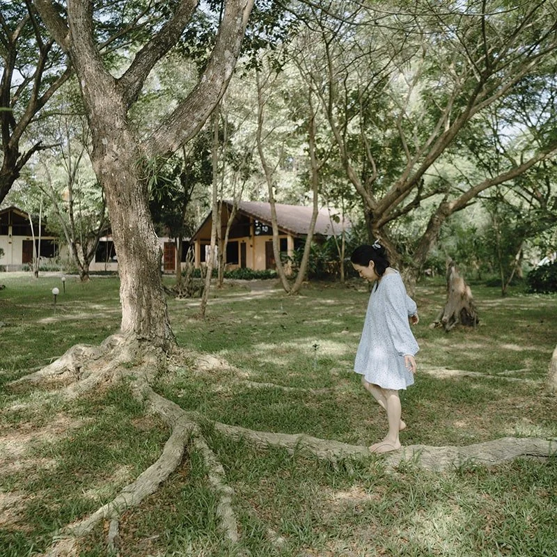 Museflower Retreat & Spa