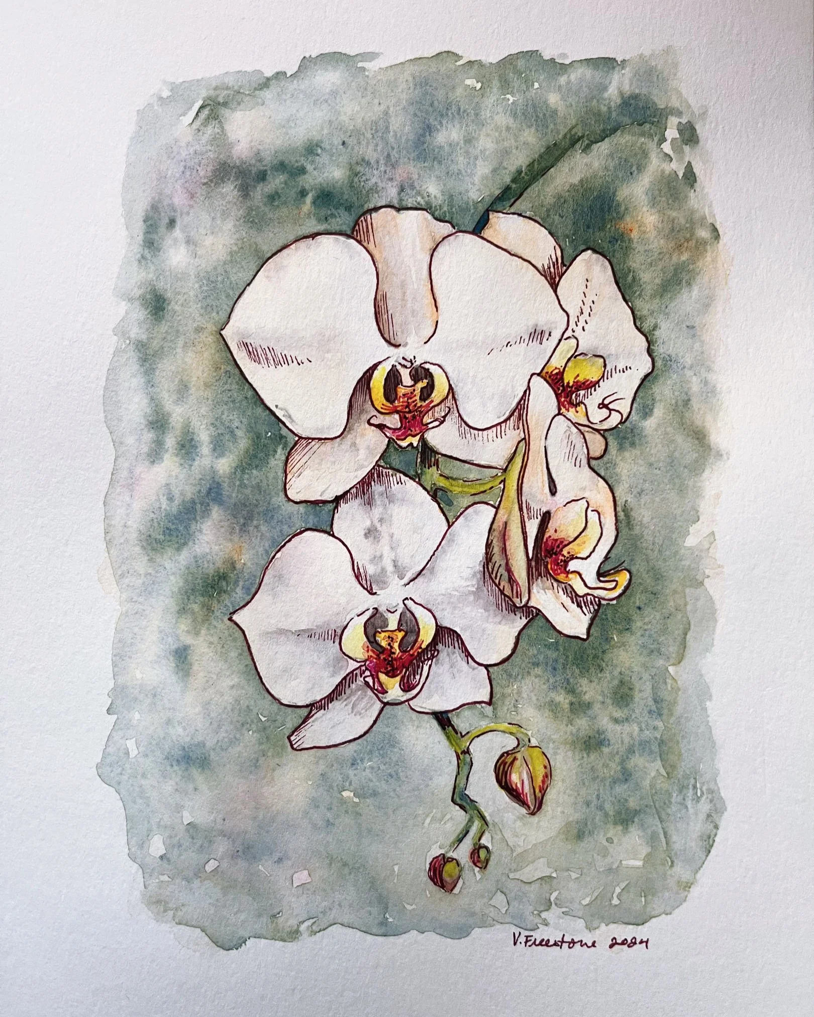 Karen's Orchids 2023