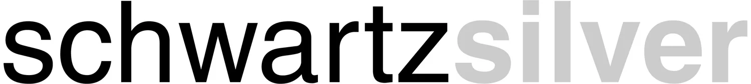 Schwartz/Silver Architects