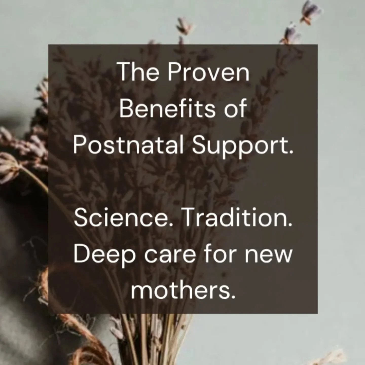 Postnatal support isn’t just comforting — it’s evidence-based, time-honoured, and vital. ✨
From reducing postnatal depression to improving infant development, research shows that care in the early weeks after birth has lasting impa