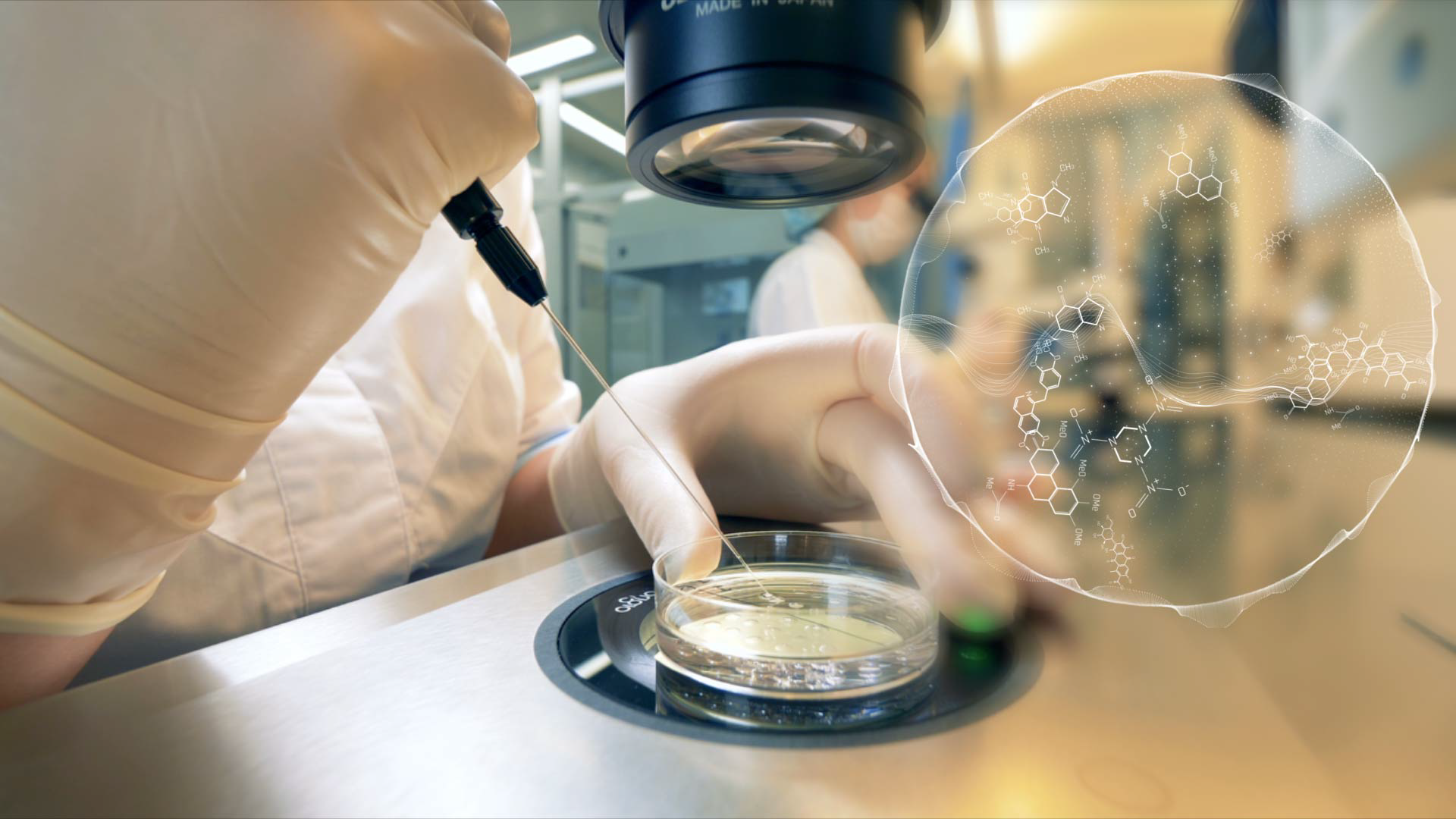 Motion Graphics Overlays