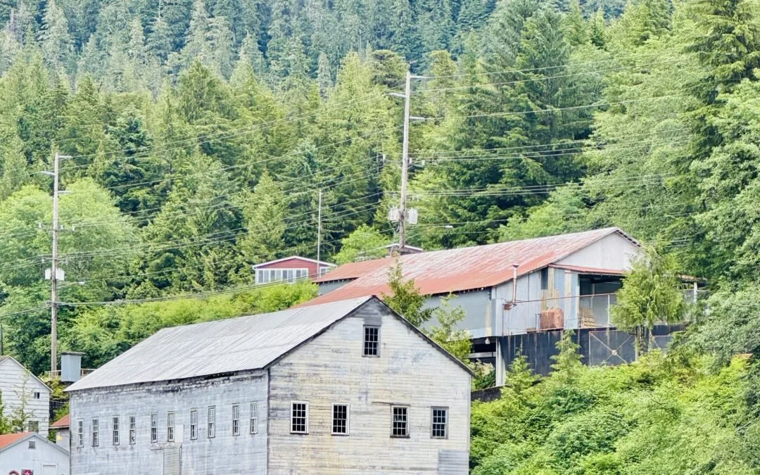  07/10/2025 
 Our Alaska Cabin Updates and Design Inspiration 
 Some of you may remember that we had a major announcement last summer – we finished the family cabin in Meyers Chuck, Alaska!  For an in-depth review of the process of building and finis