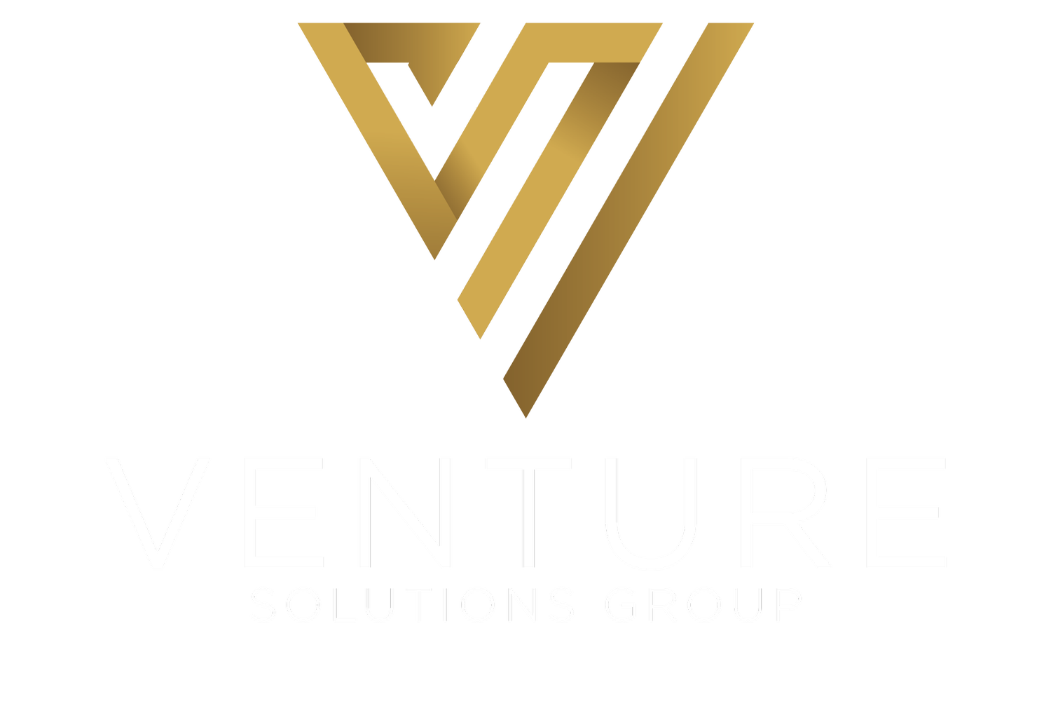 VENTURE SOLUTIONS GROUP