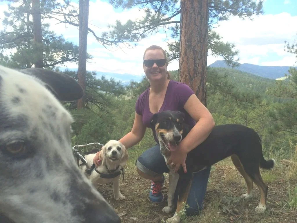 Jack, Chloe and me on a hike near Evergreen, Colorado (with Miller photo bombing!)