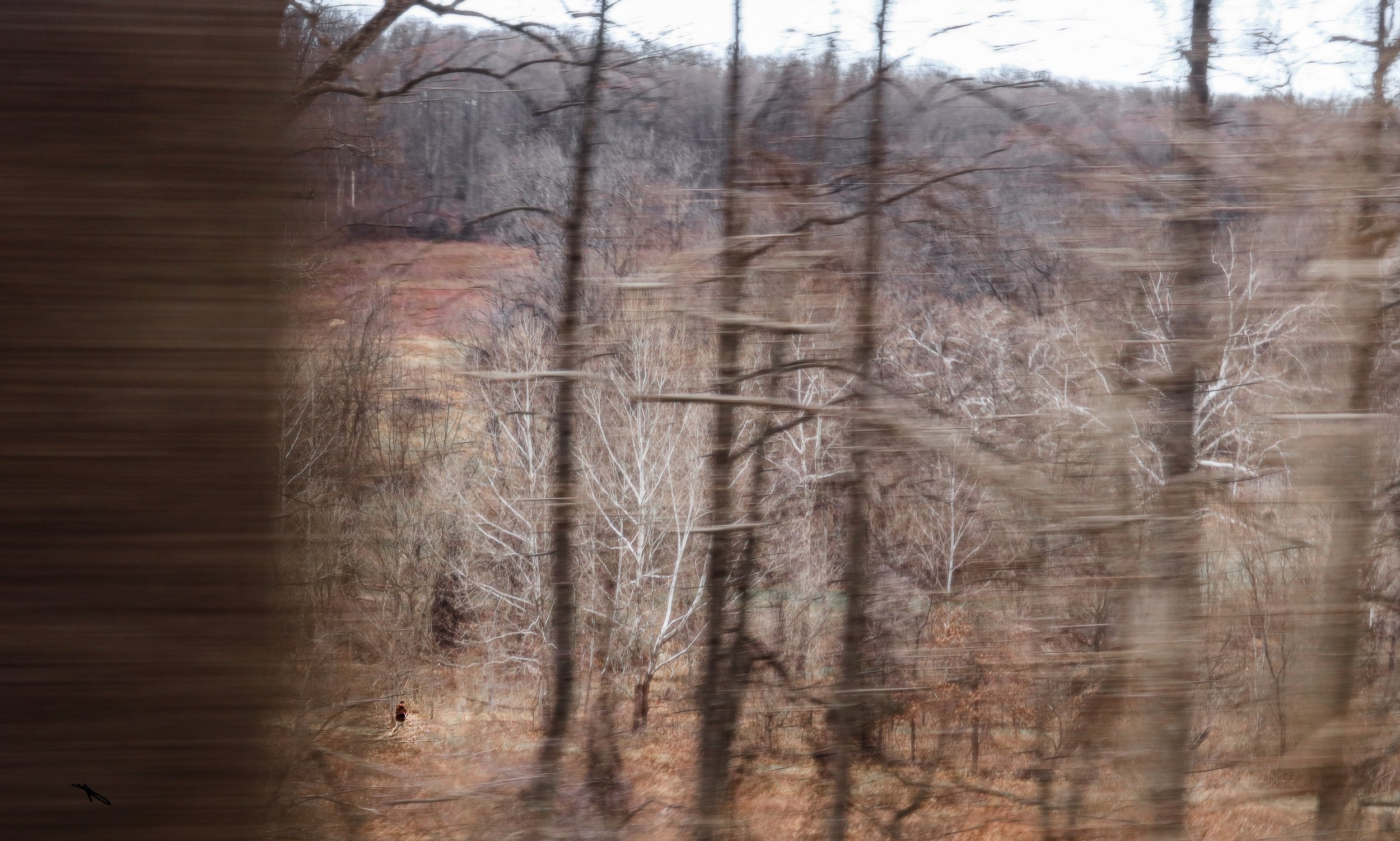 Walking Through the Winter, 2025