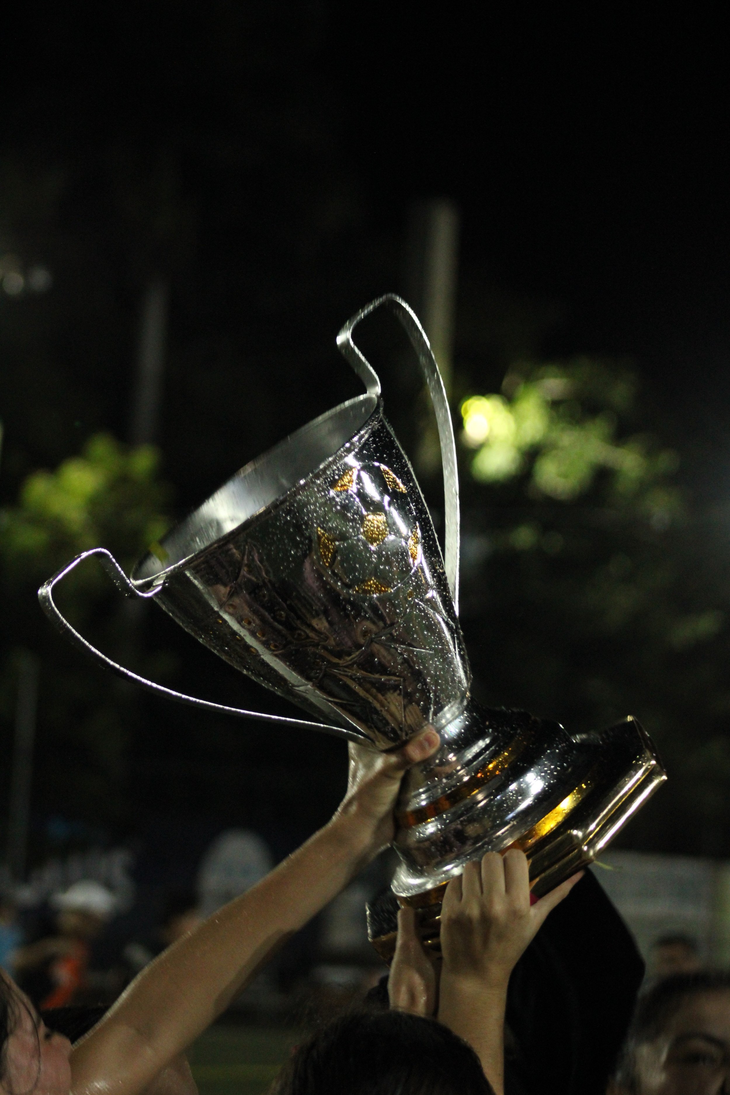 Enfoque Marca Presentation.jpg