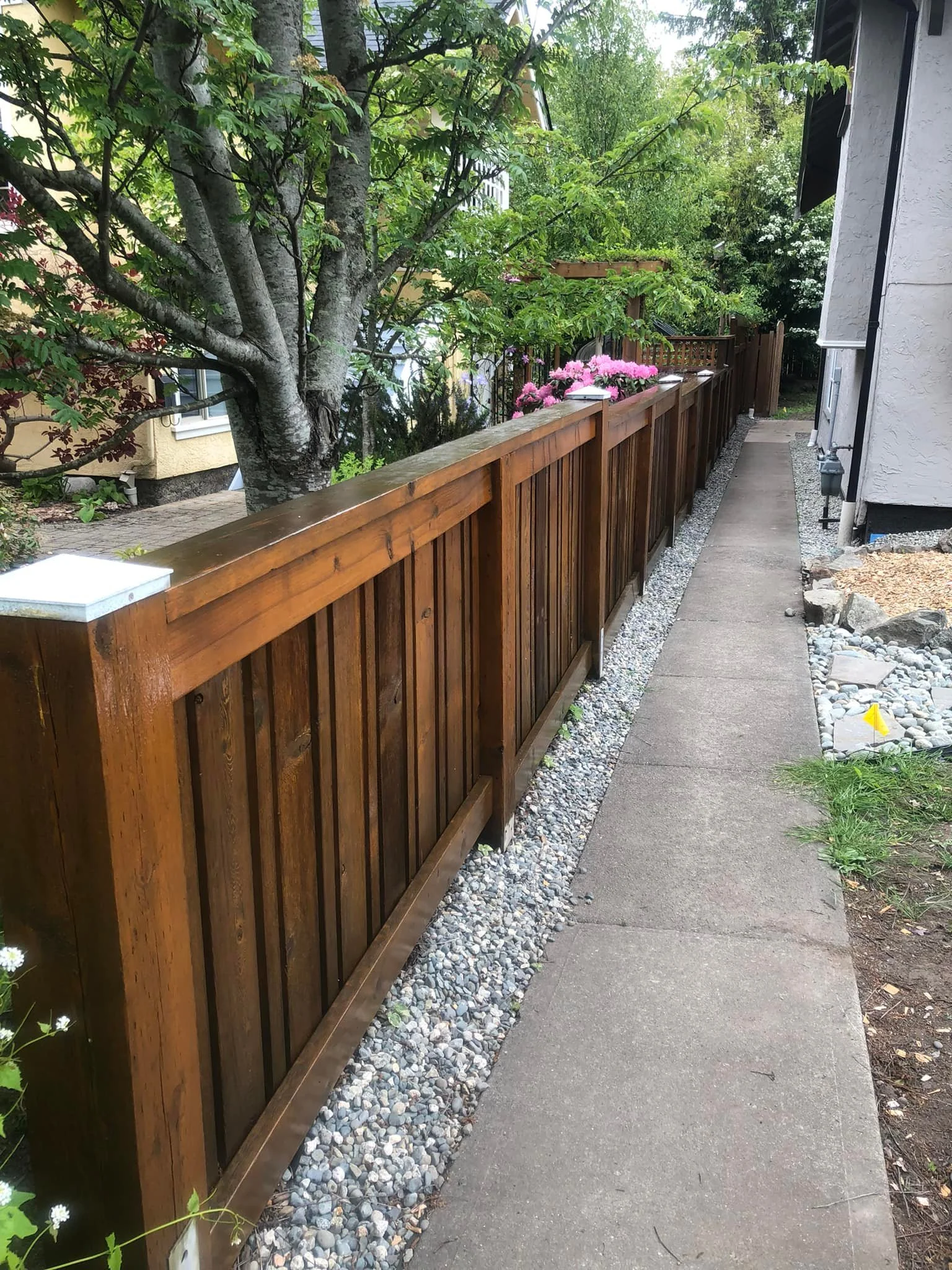 A wooden fence lining a concrete sidewalk, with trees and flowering plants along the fence and on the other side of the sidewalk.