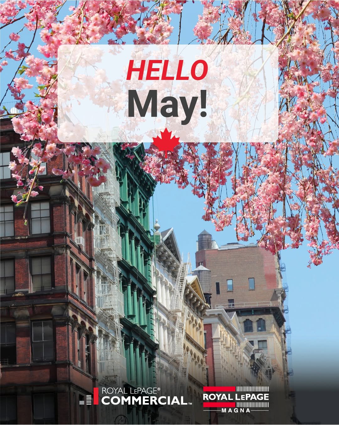 Welcome to May&mdash;where the market starts to move! 🌸🏡
From fresh opportunities to big decisions, it&rsquo;s a month full of momentum across every corner of real estate. 😍

Whether you're buying, selling, or just exploring your options, Royal Le