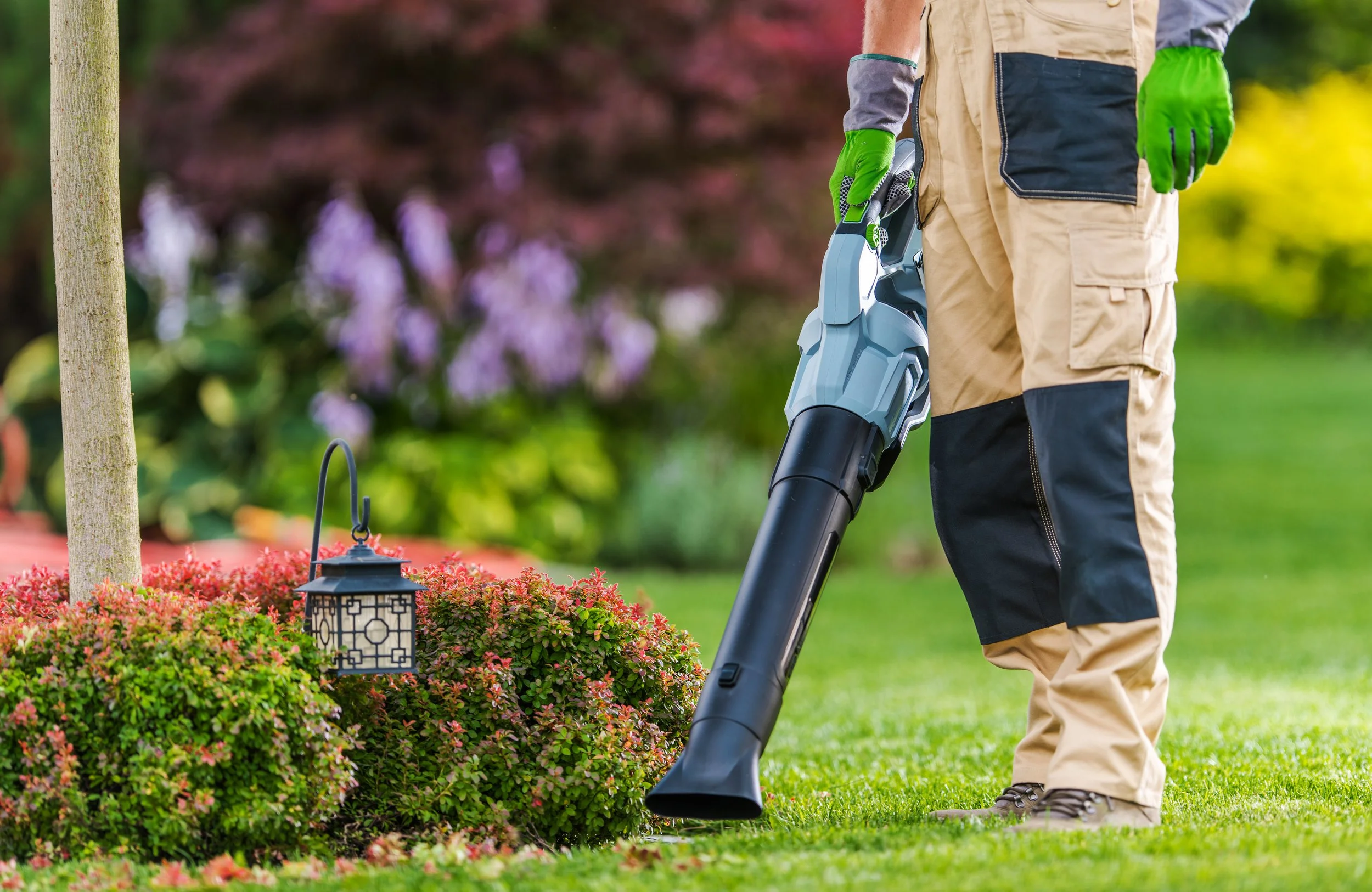 Person trimming bushes with a leaf blower in a garden