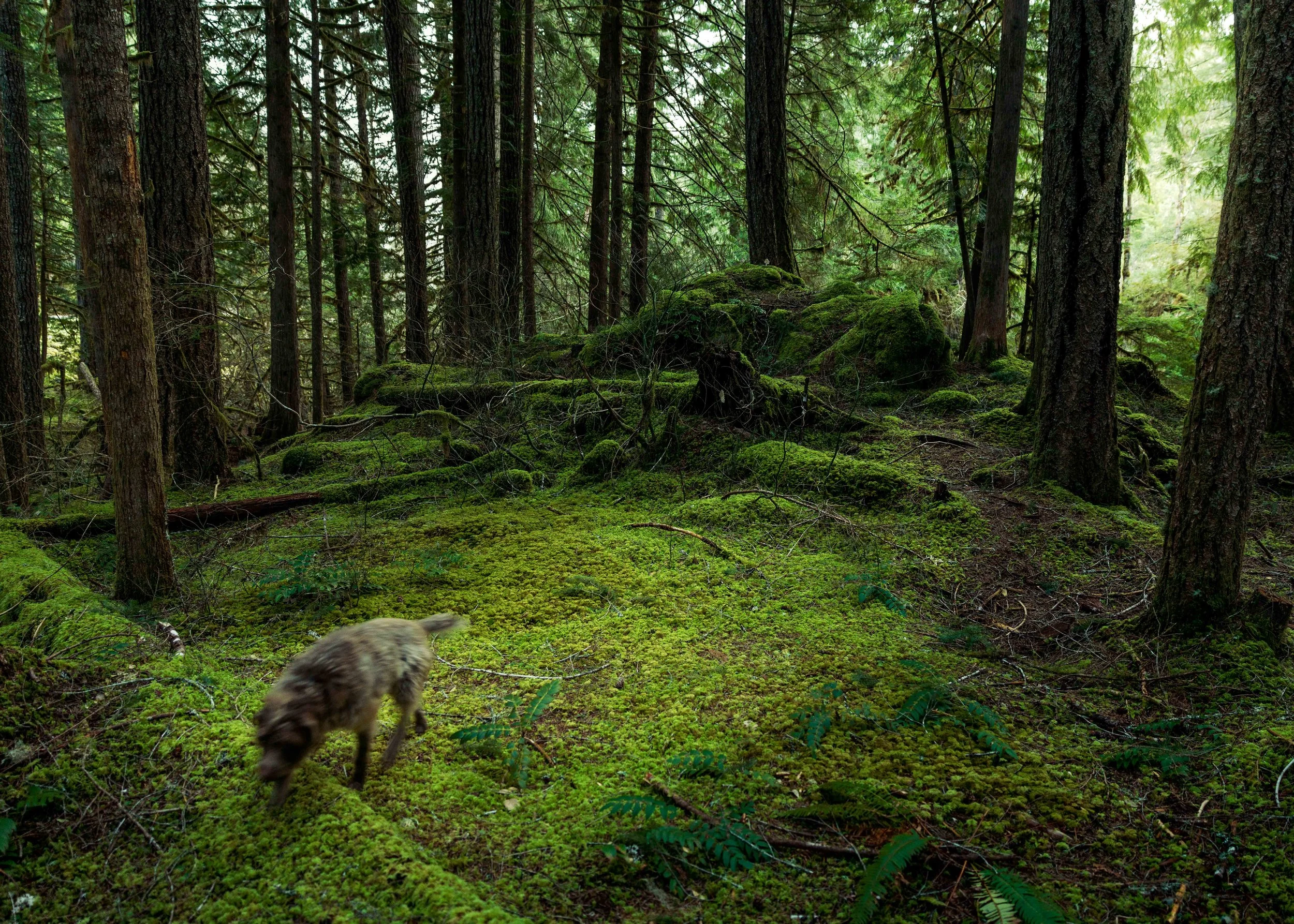 SBC Landscapes-23.jpg