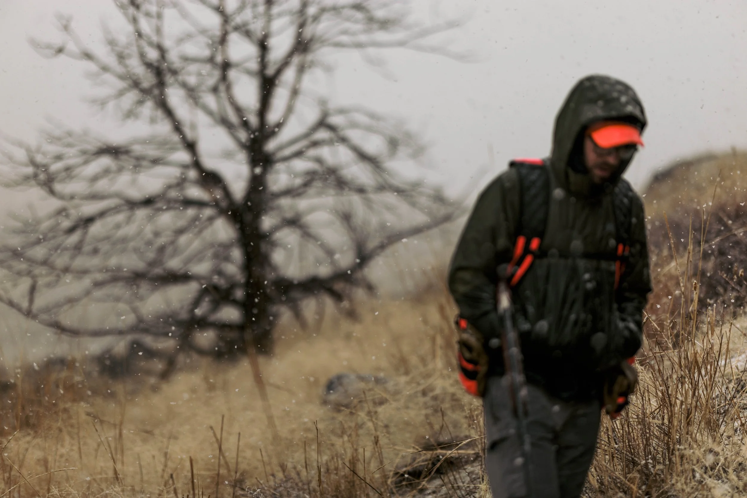 SBC Field Photos-5.jpg