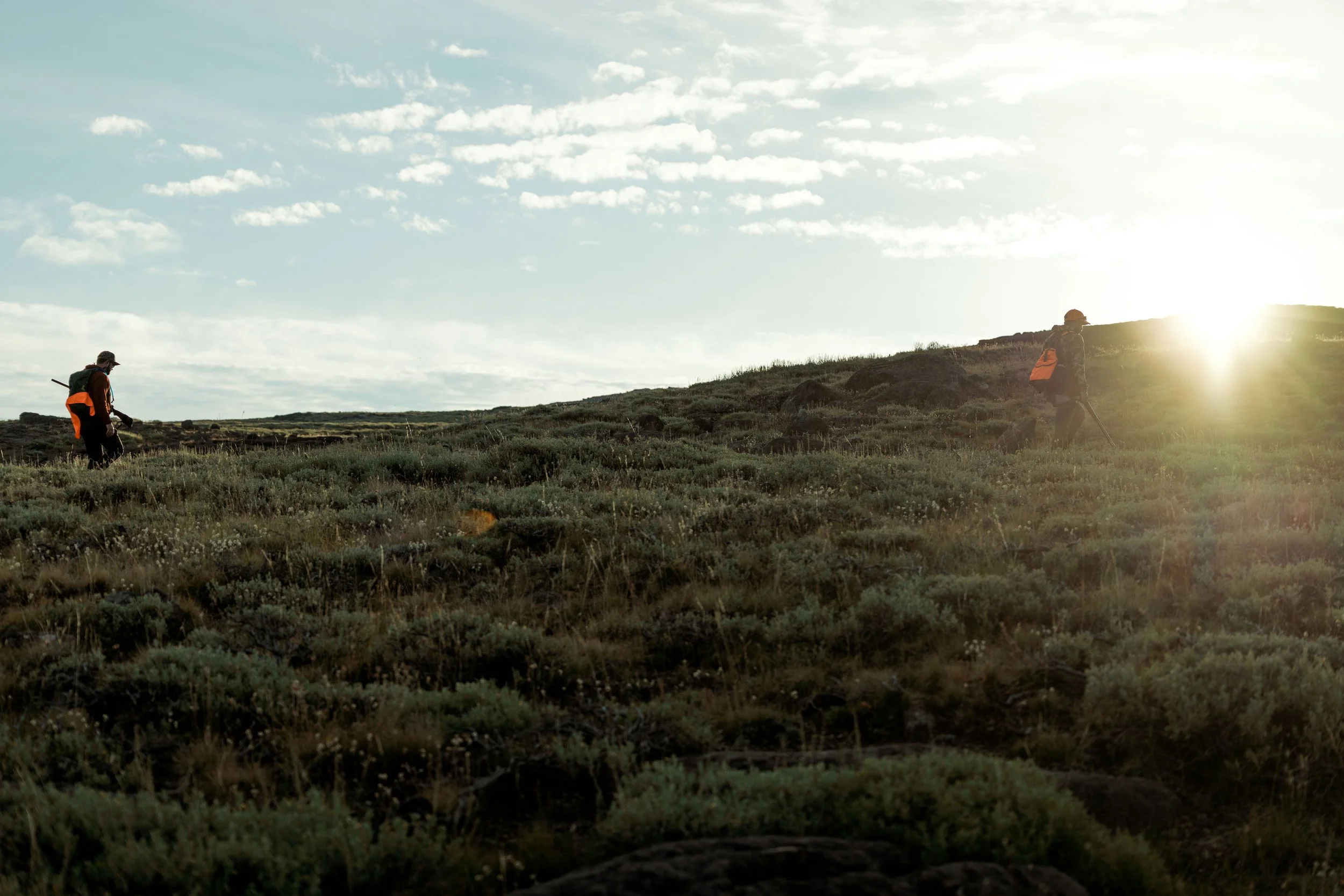 SBC Field Shots-3.jpg