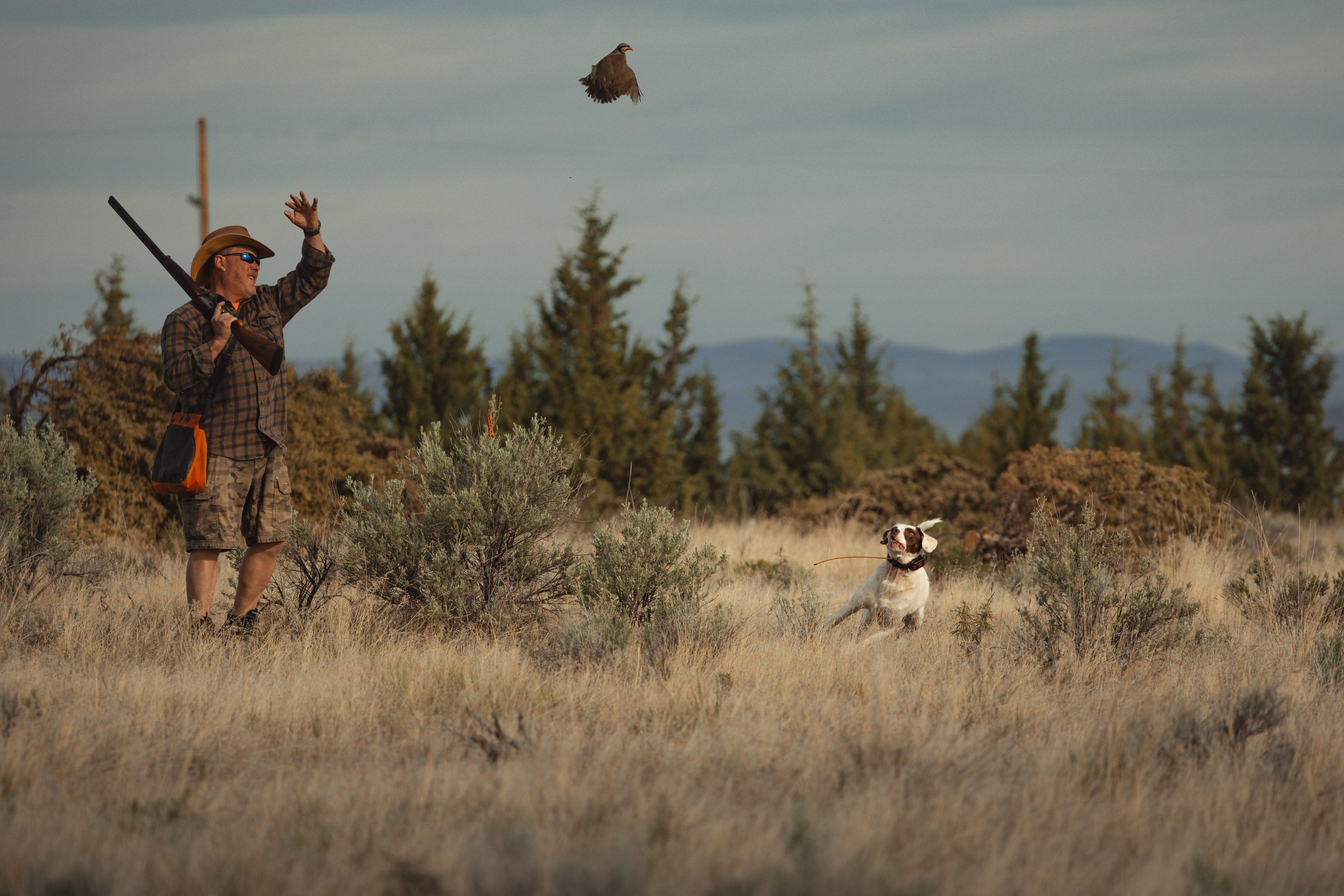 SBC Dog Training.jpg