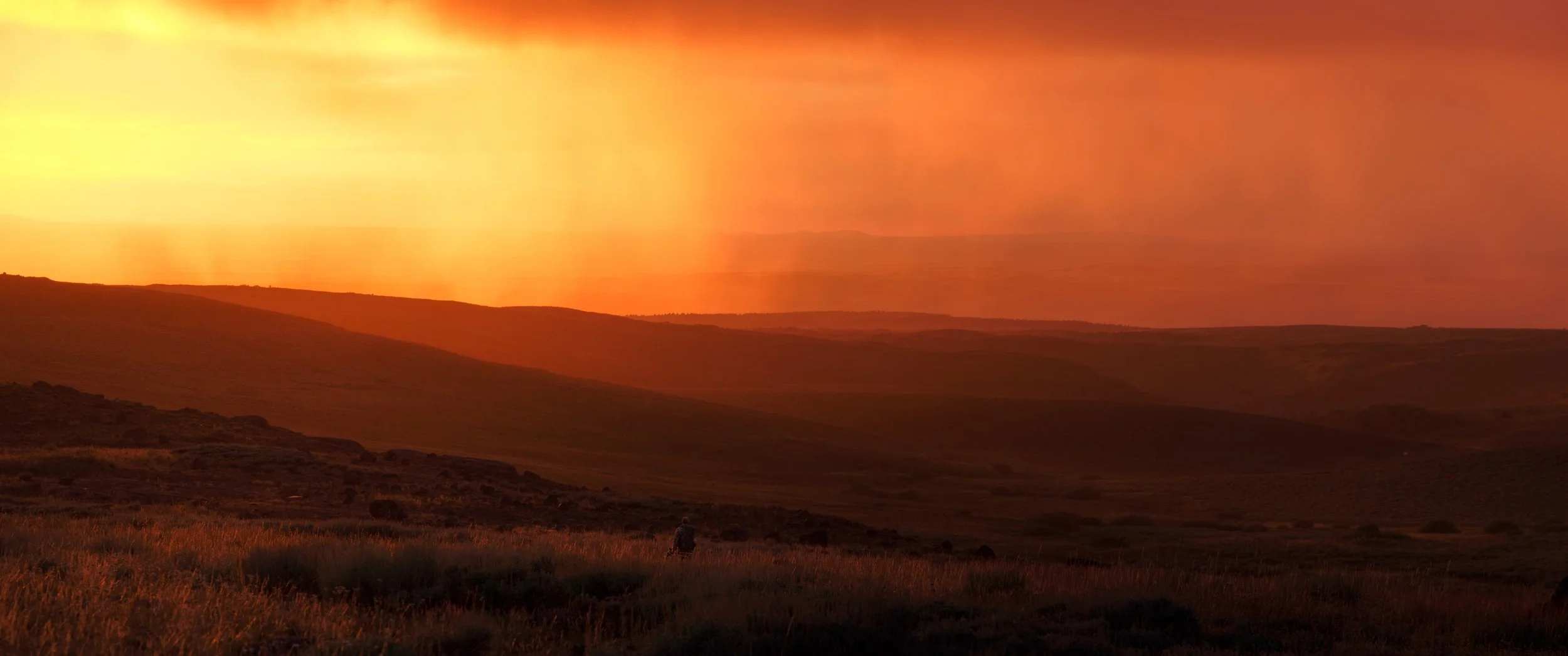 SBC Landscapes-22.jpg