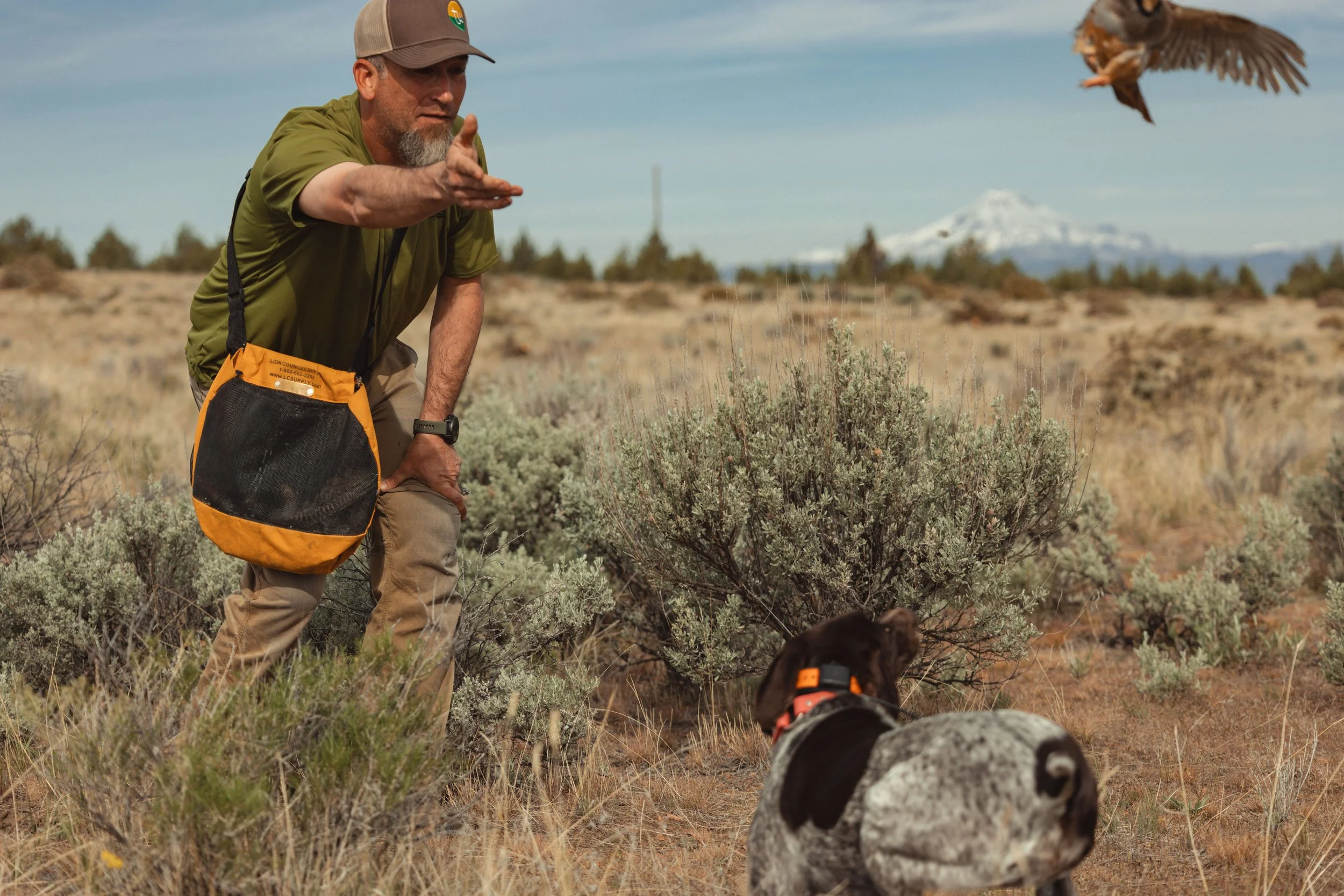 SBC dog training-28.jpg