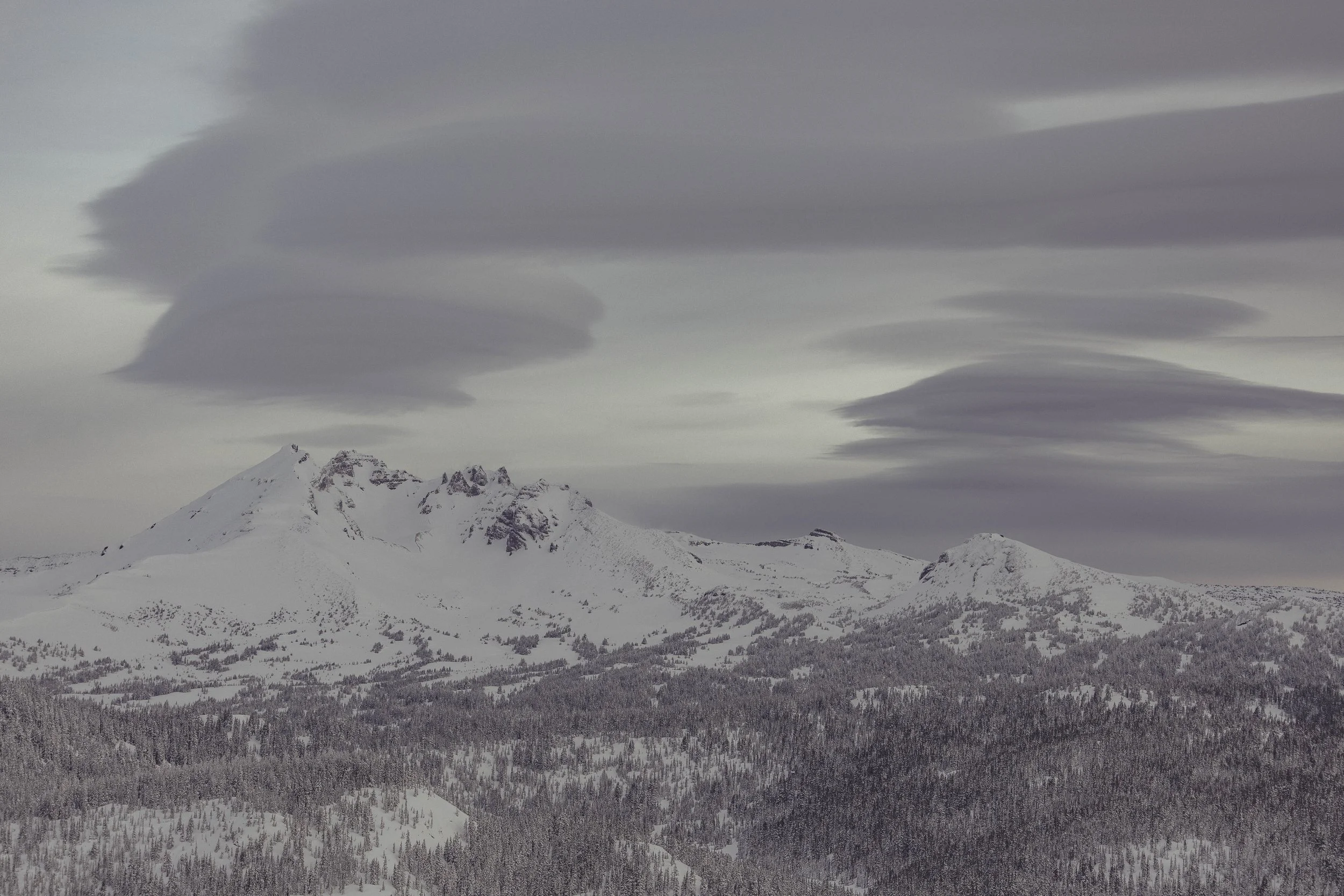 SBC Landscapes xx4.jpg