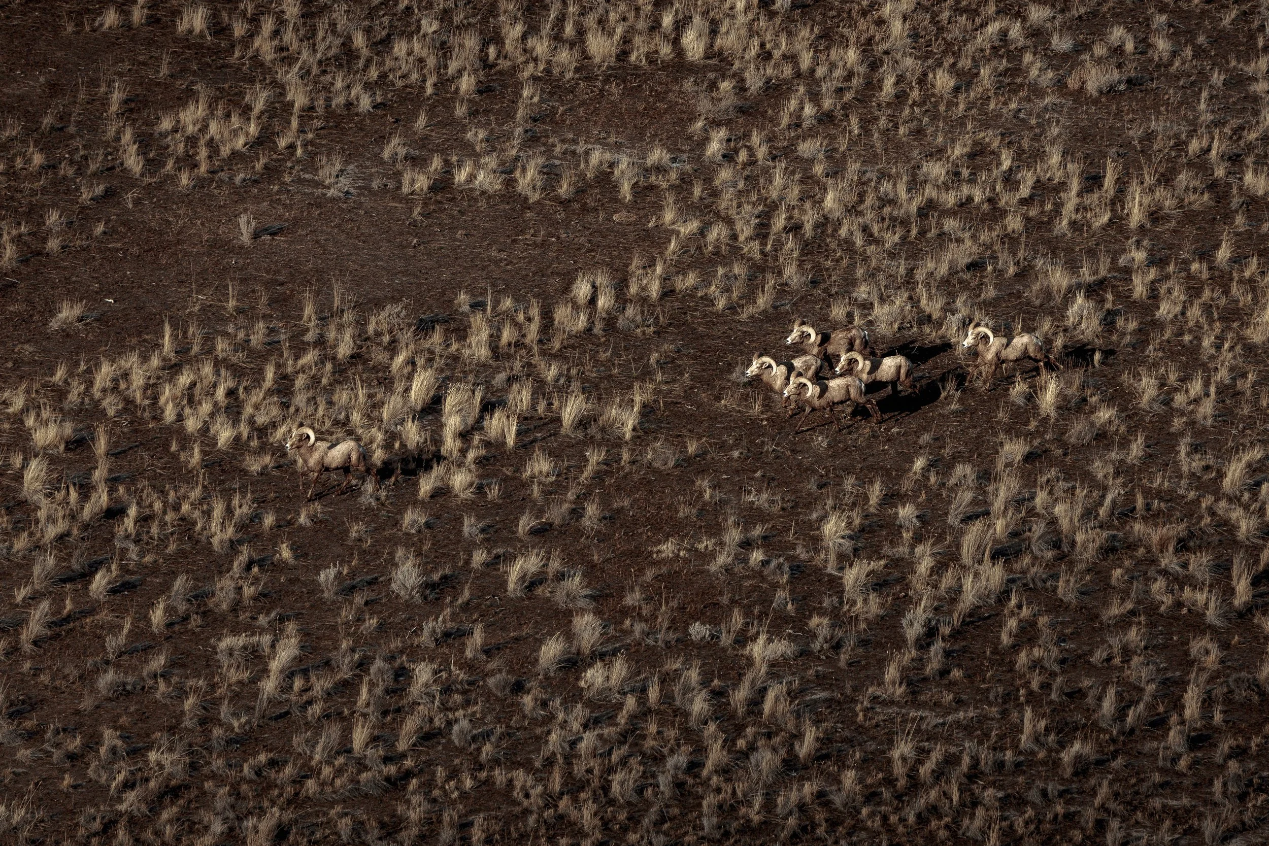 SBC Landscapes-18.jpg