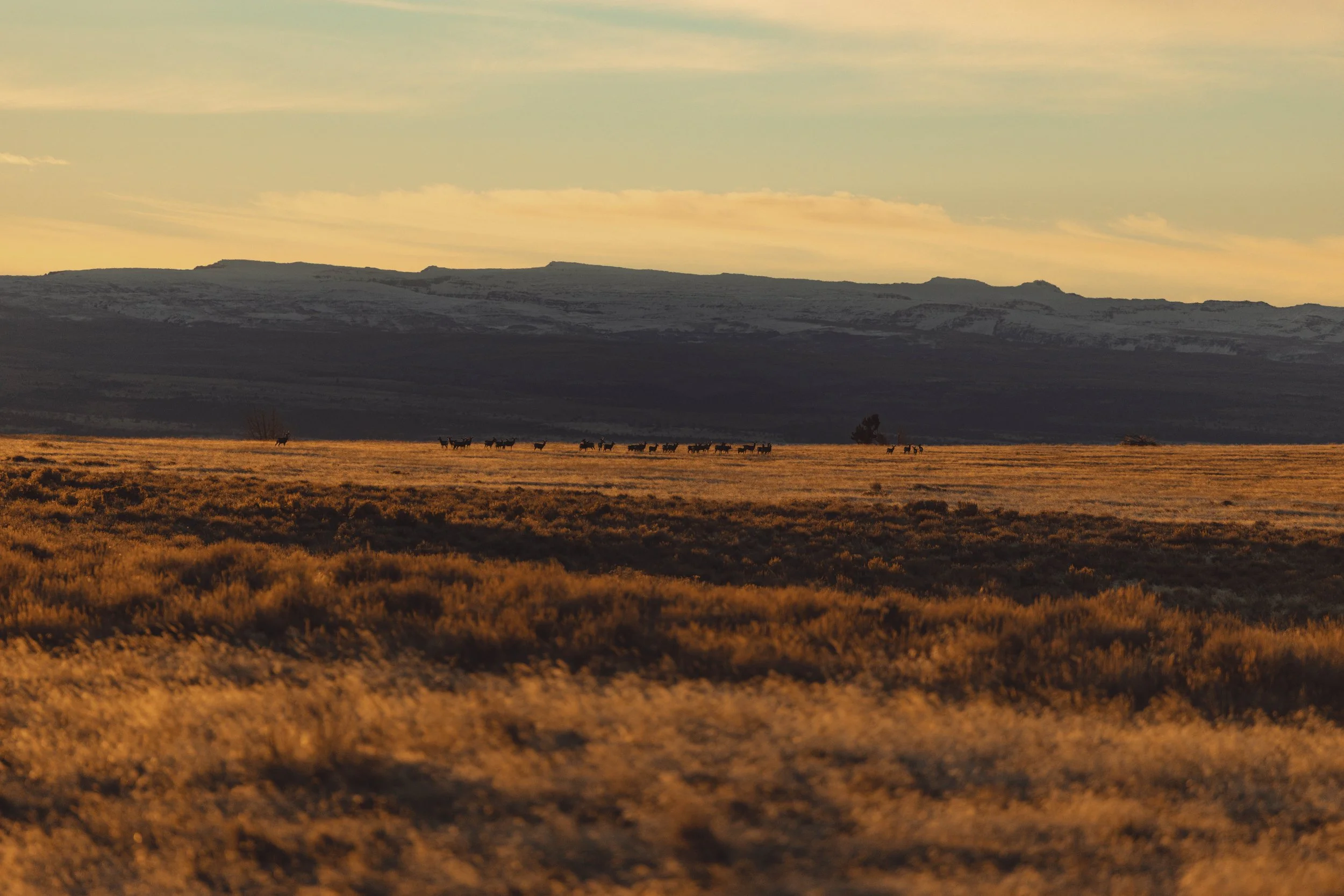 SBC landscapes-10.jpg