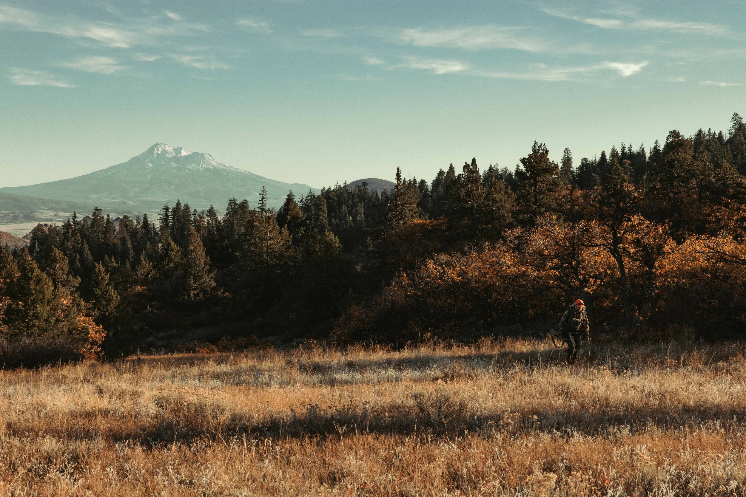 SBC Field Shots-17.jpg