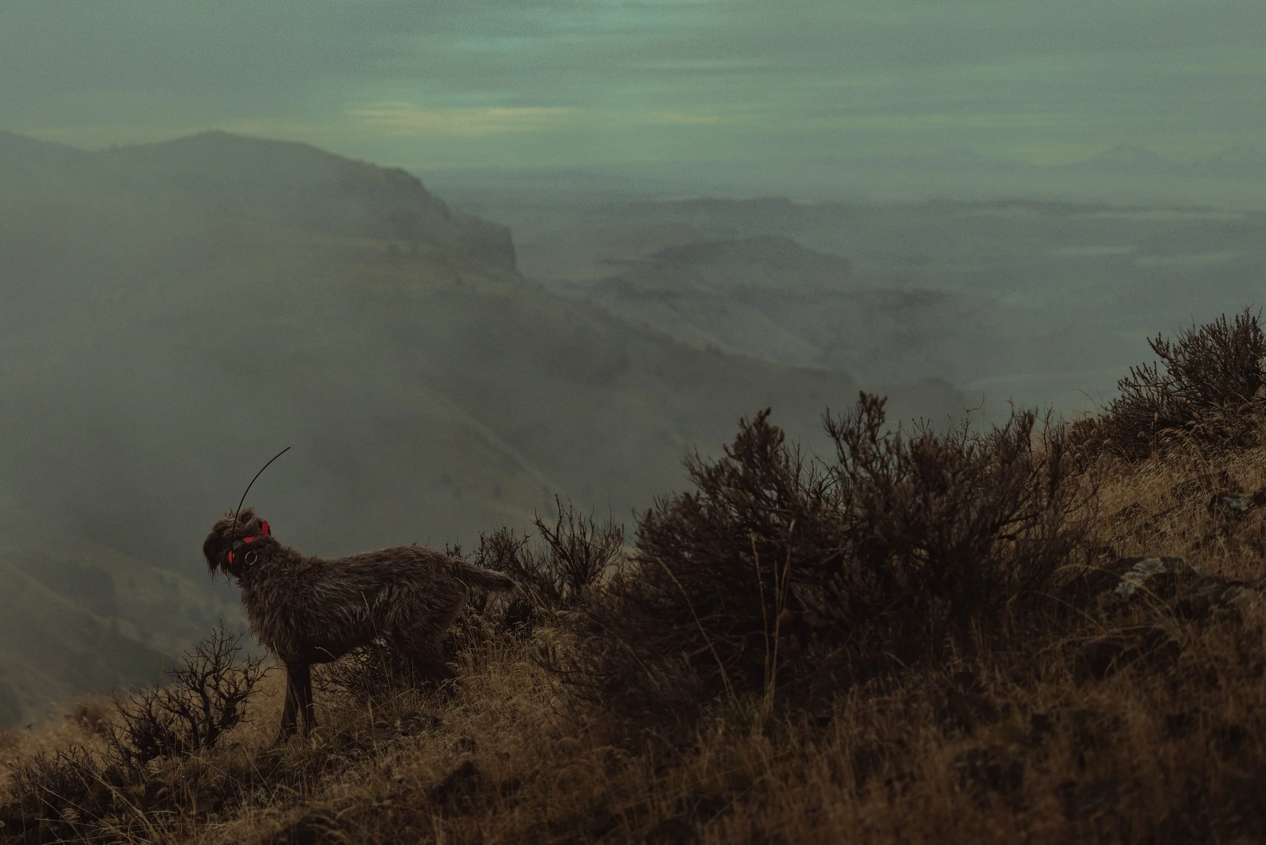 SBC Field Shots-26.jpg