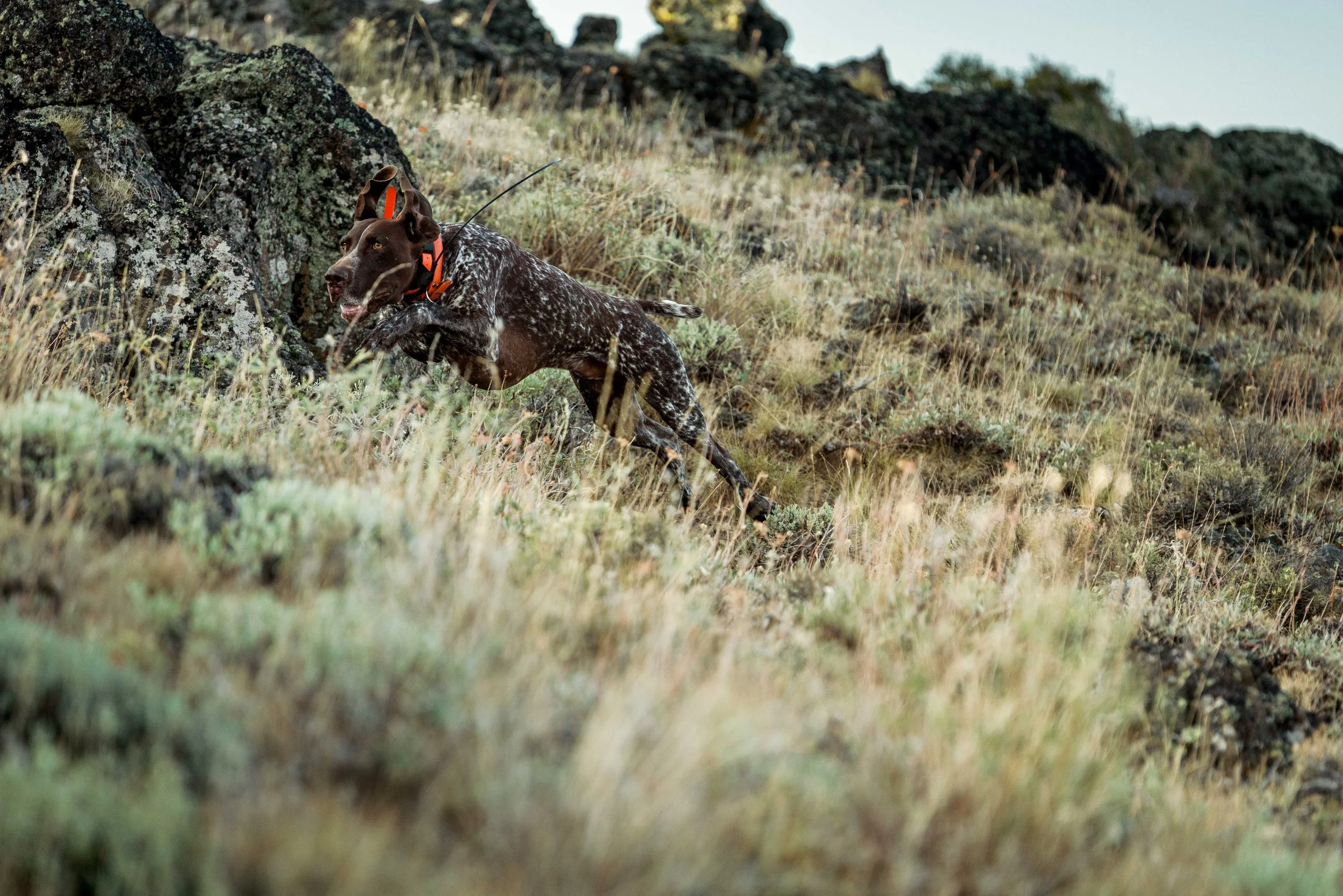 SBC Field Shots-4.jpg