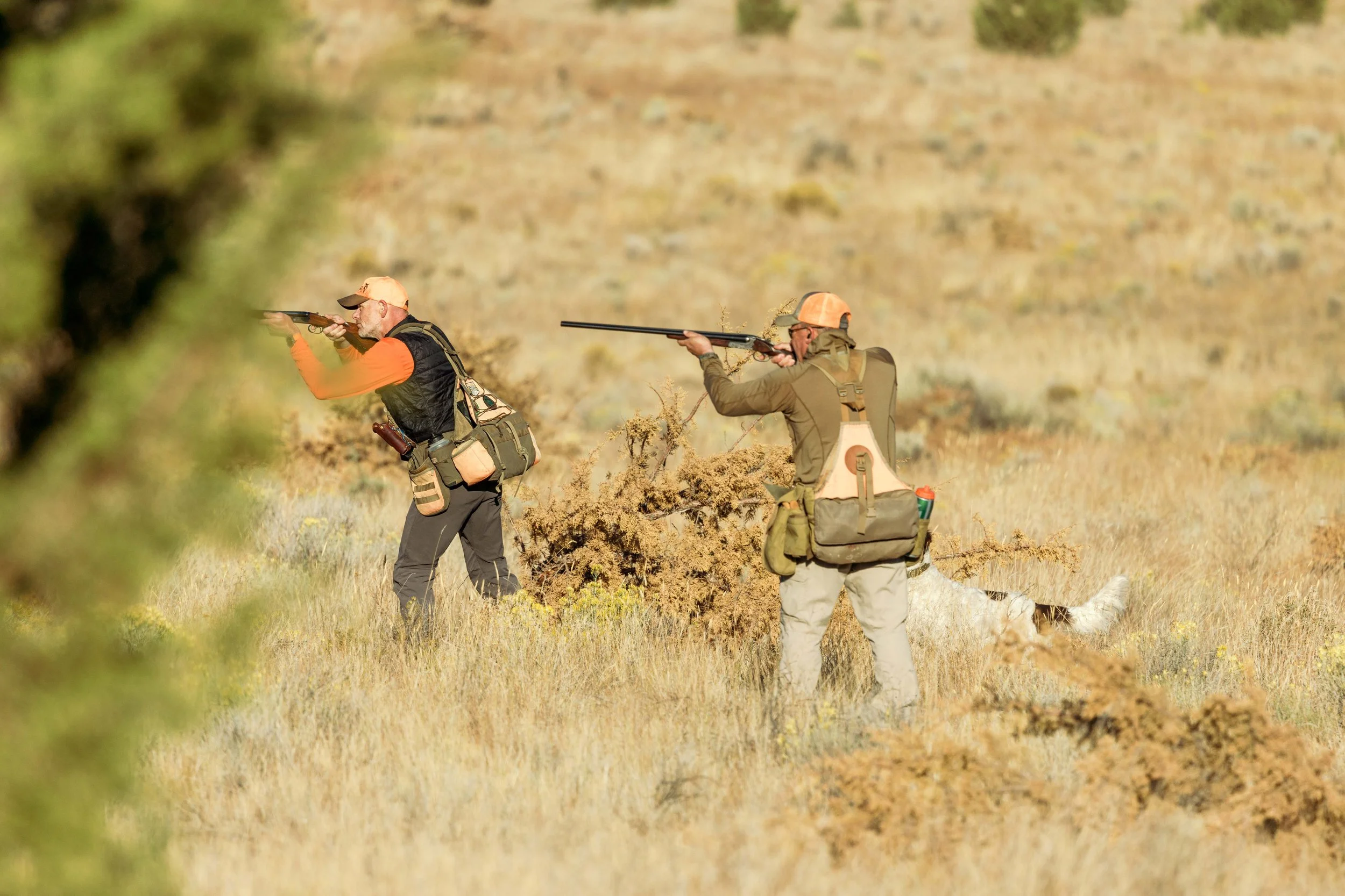 SBC Dog Training-14.jpg