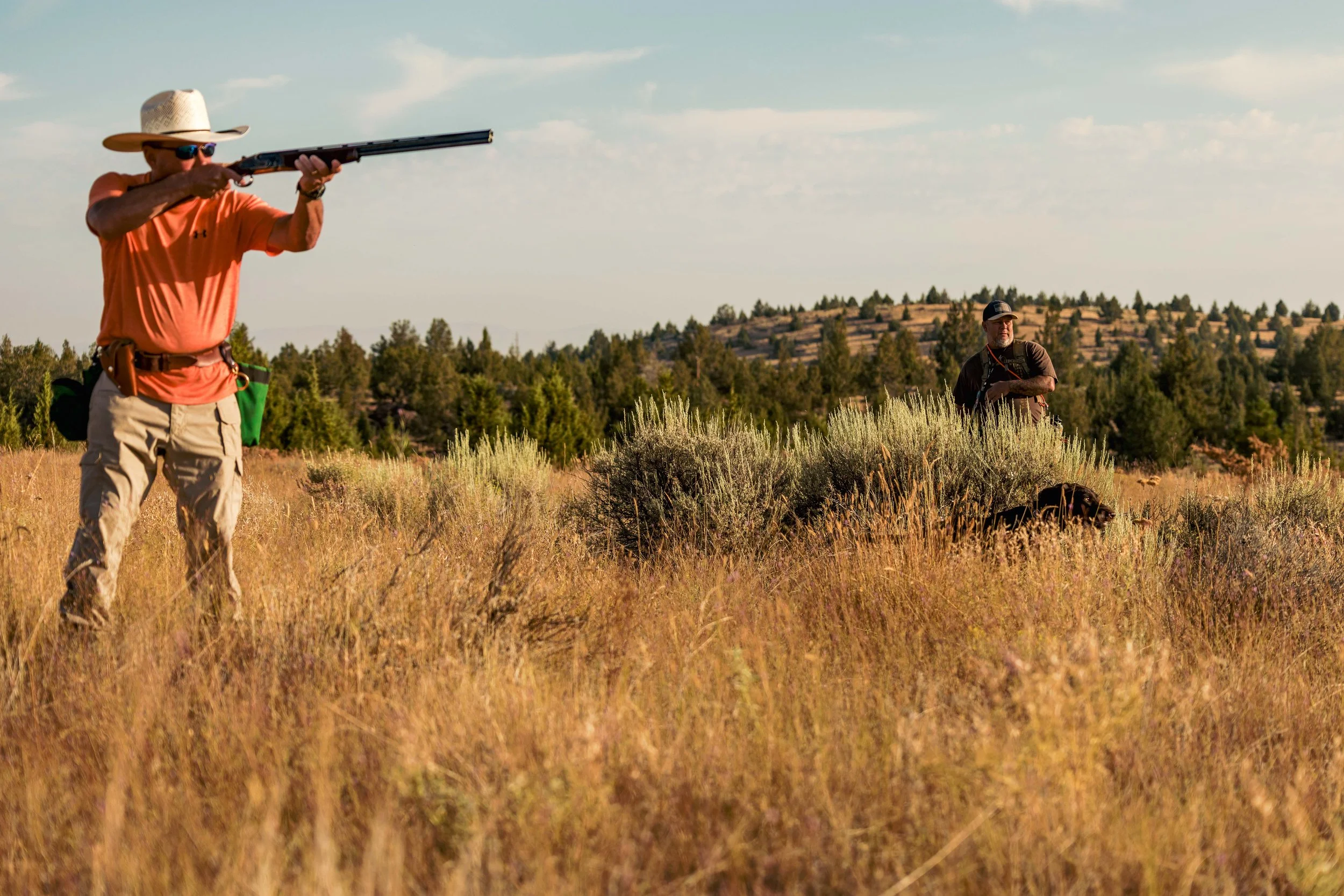 SBC dog training-34.jpg