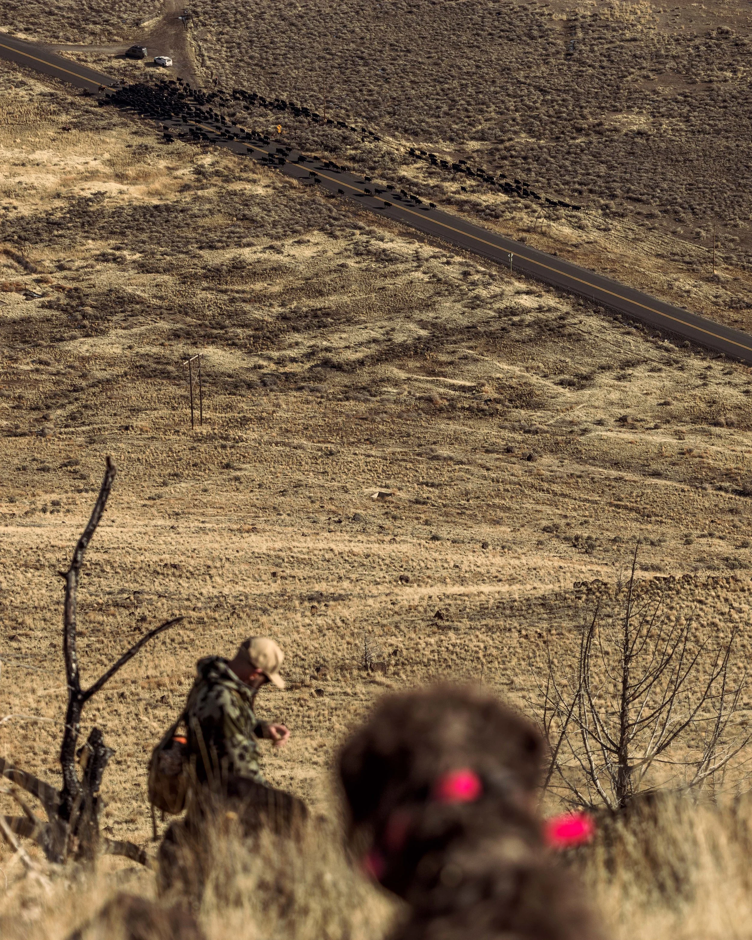 SBC Field Shots-46.jpg