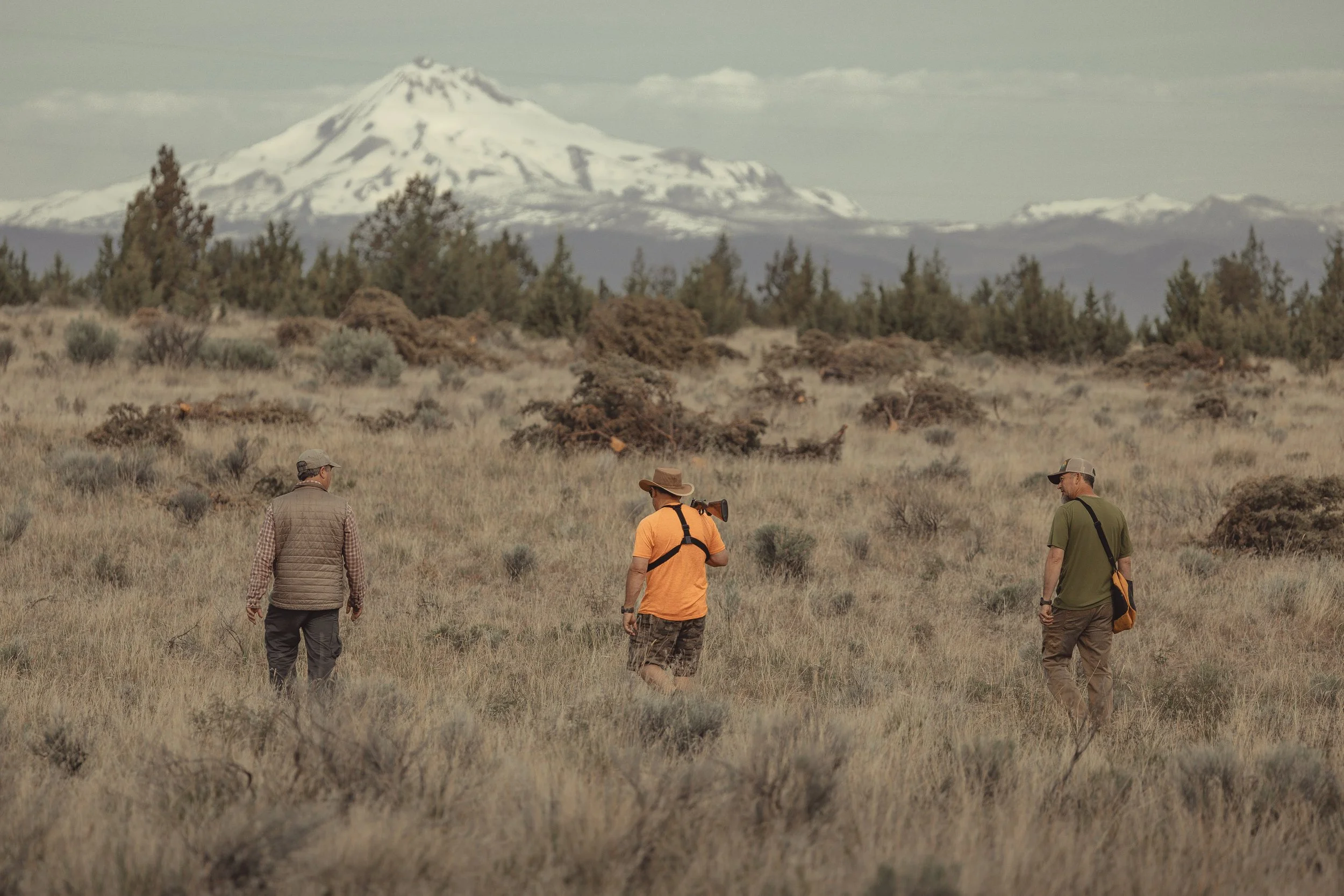 SBC dog training-31.jpg