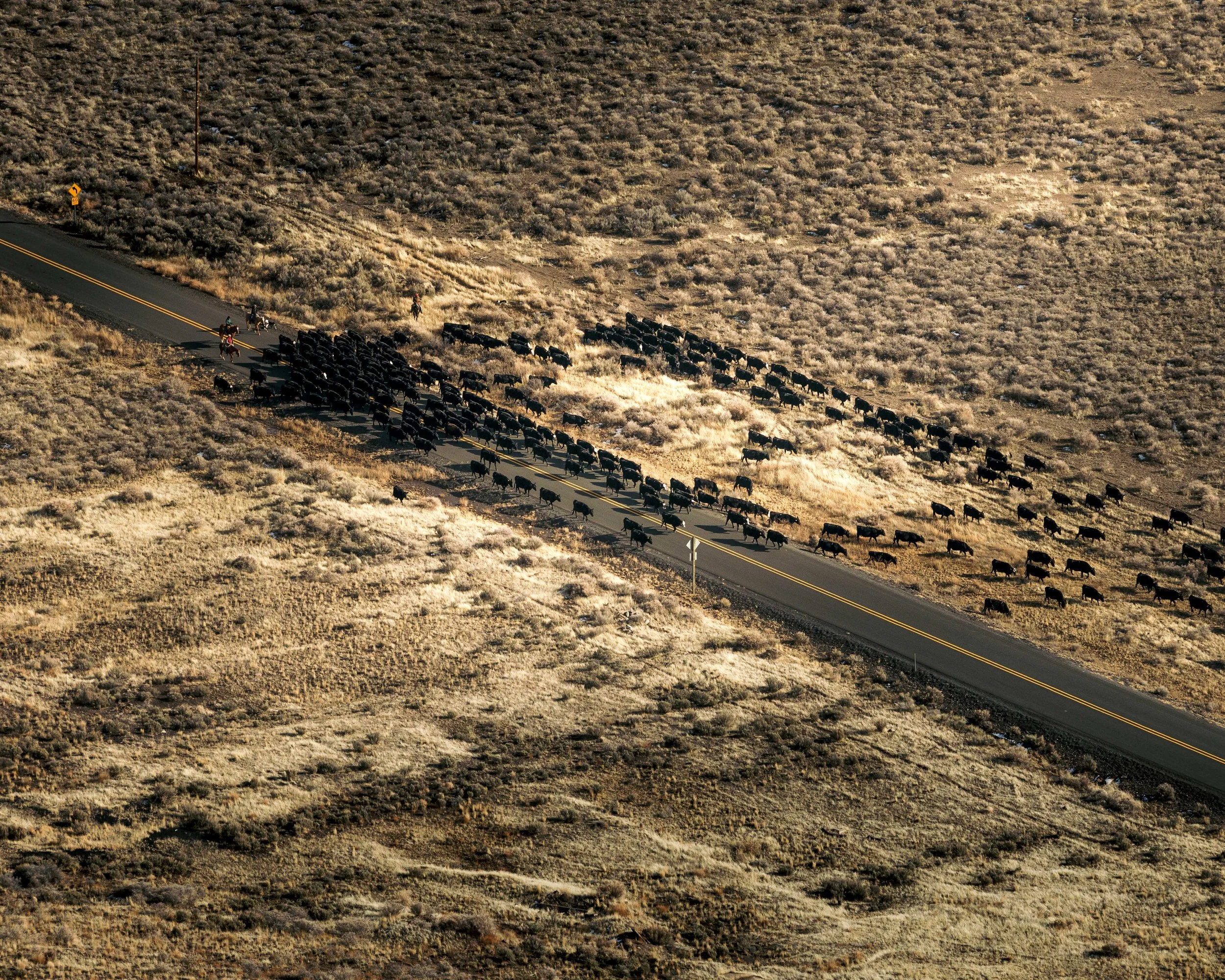 SBC Landscapes-21.jpg