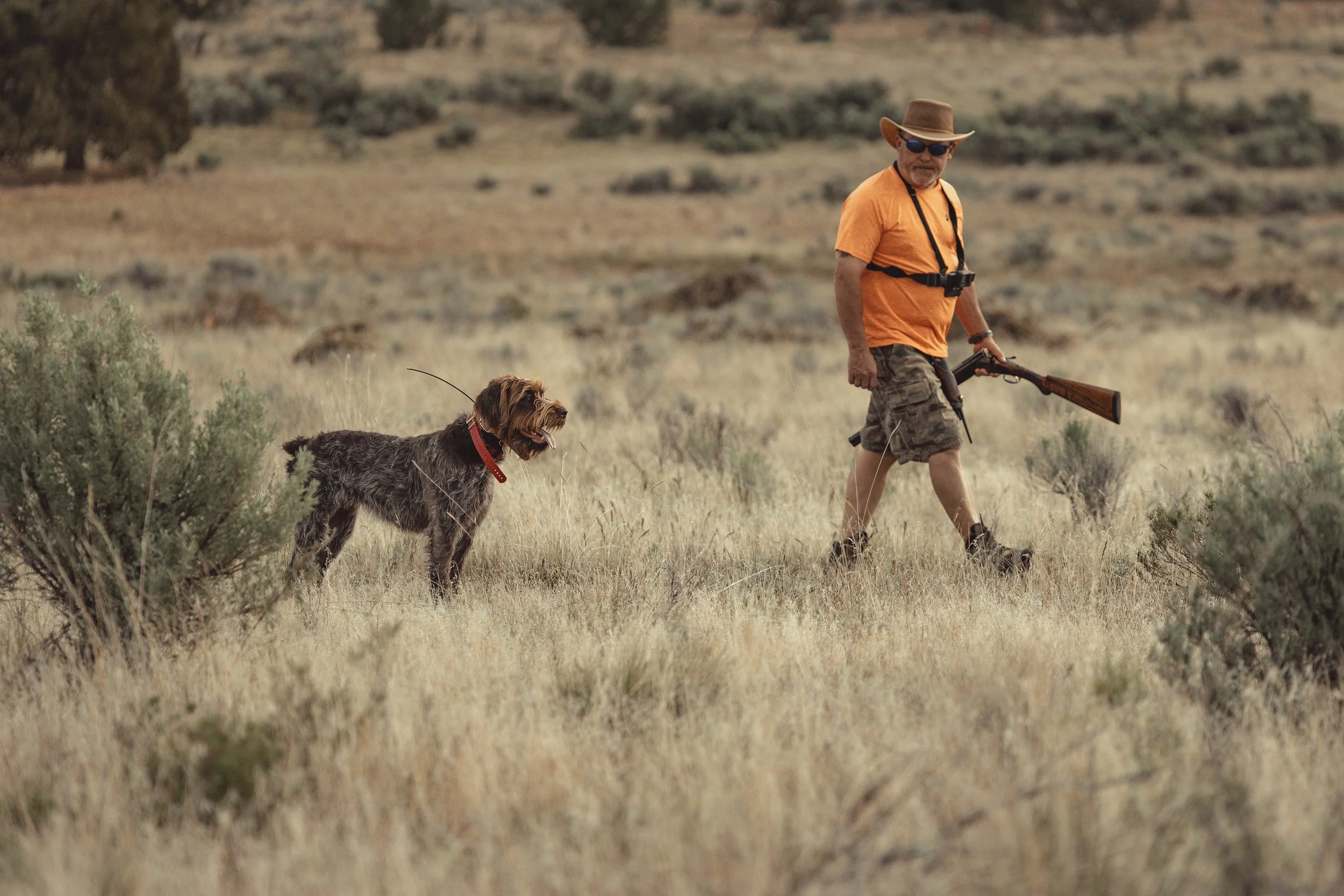 SBC Dog Training-3.jpg