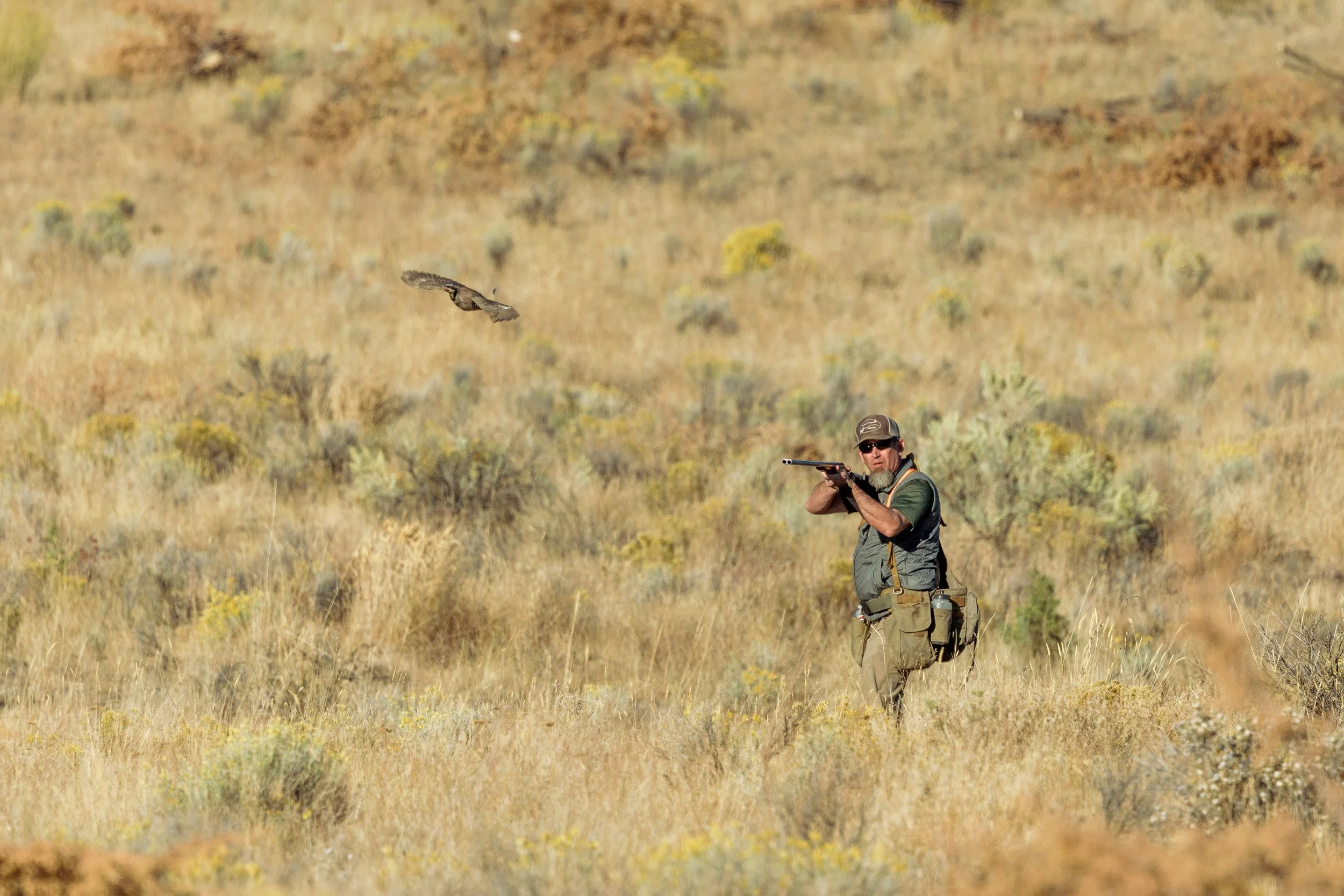 SBC Dog Training-15.jpg