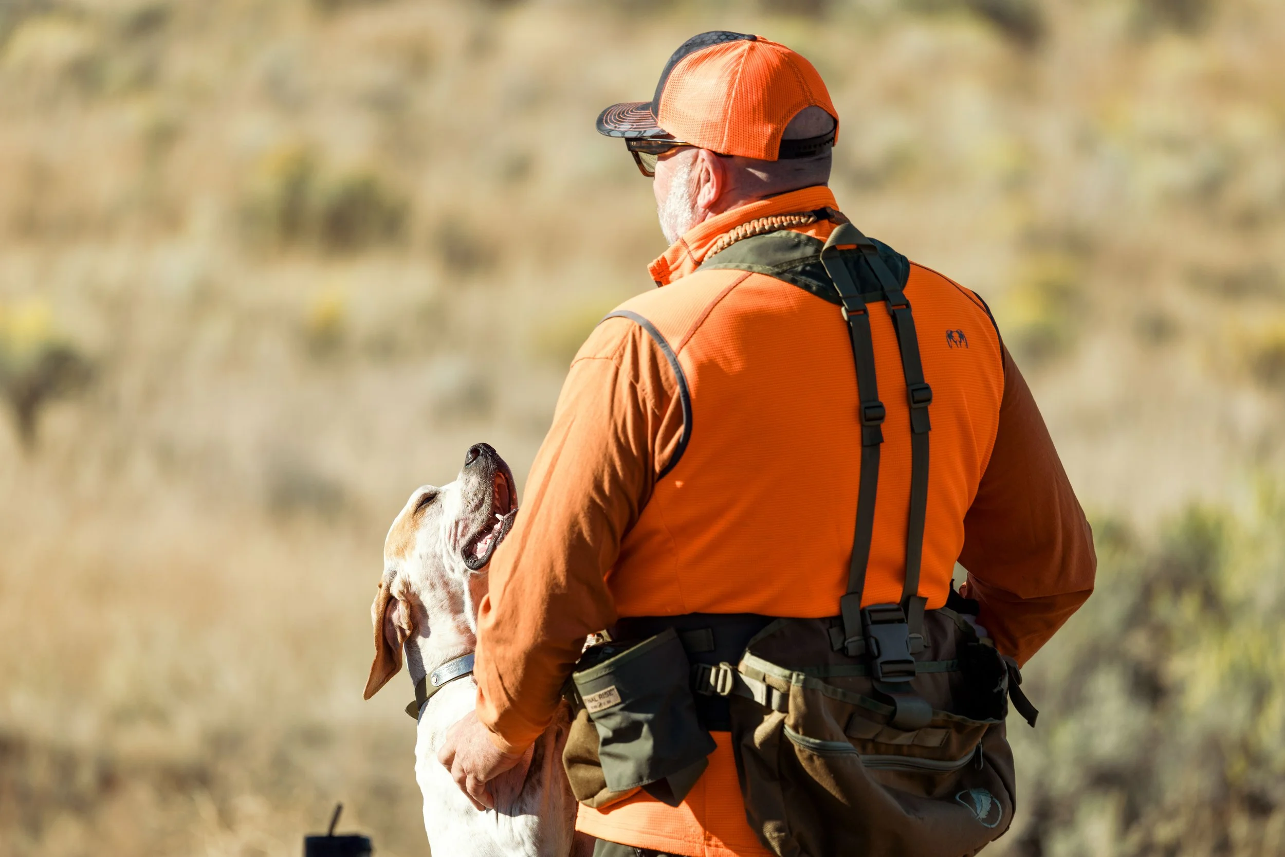 SBC Dog Training-16.jpg