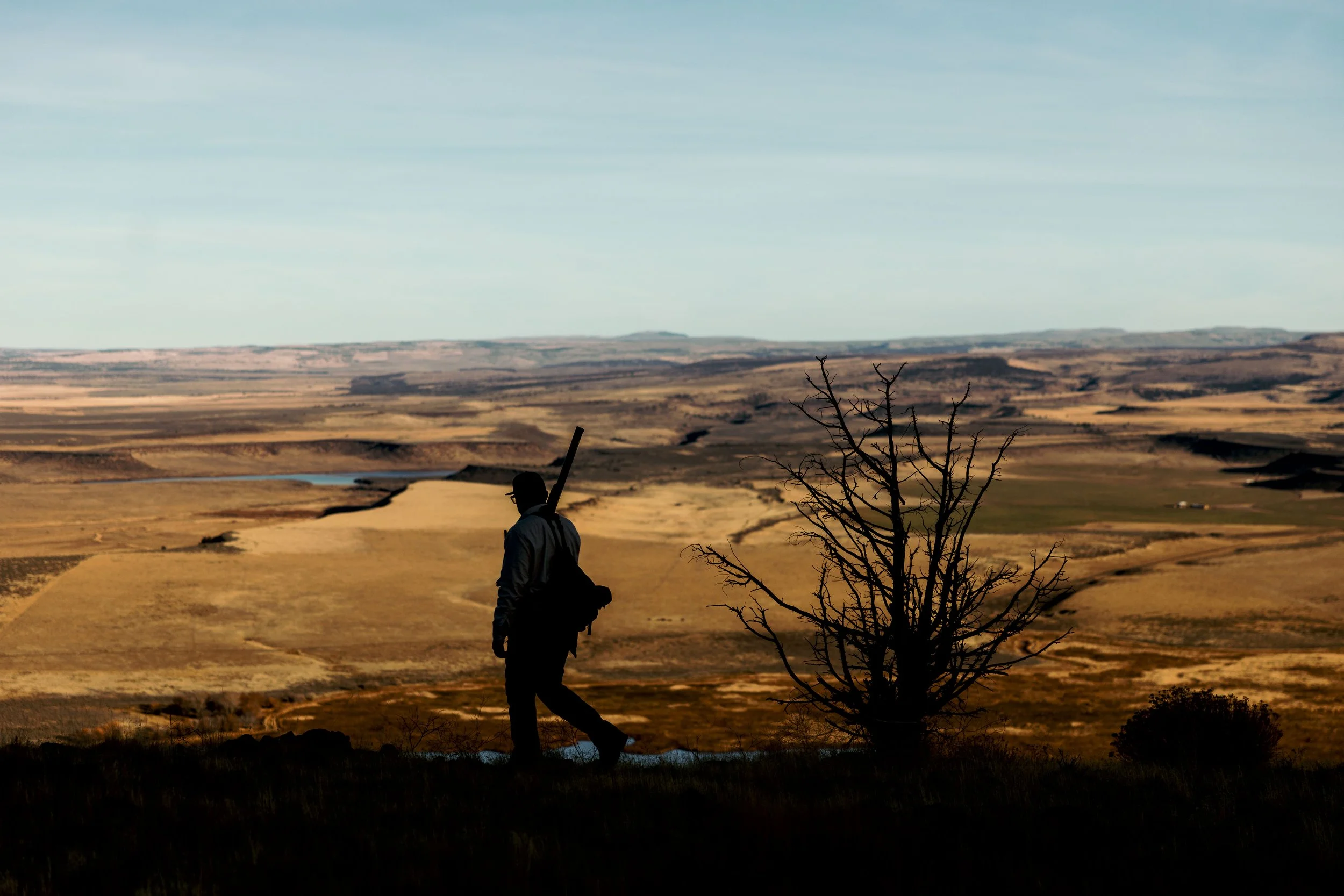 SBC Field Shots-23.jpg