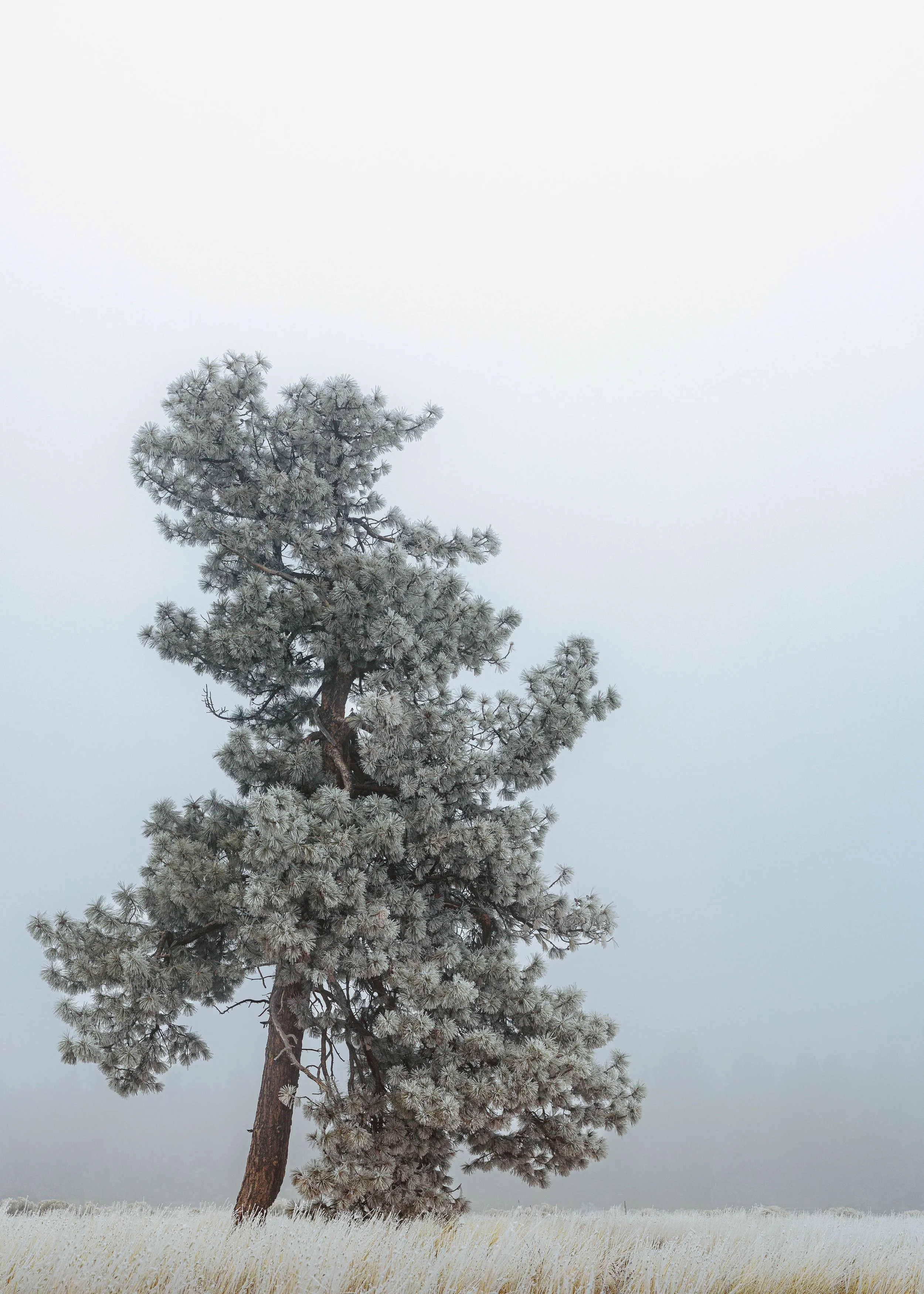 SBC Landscapes-20.jpg