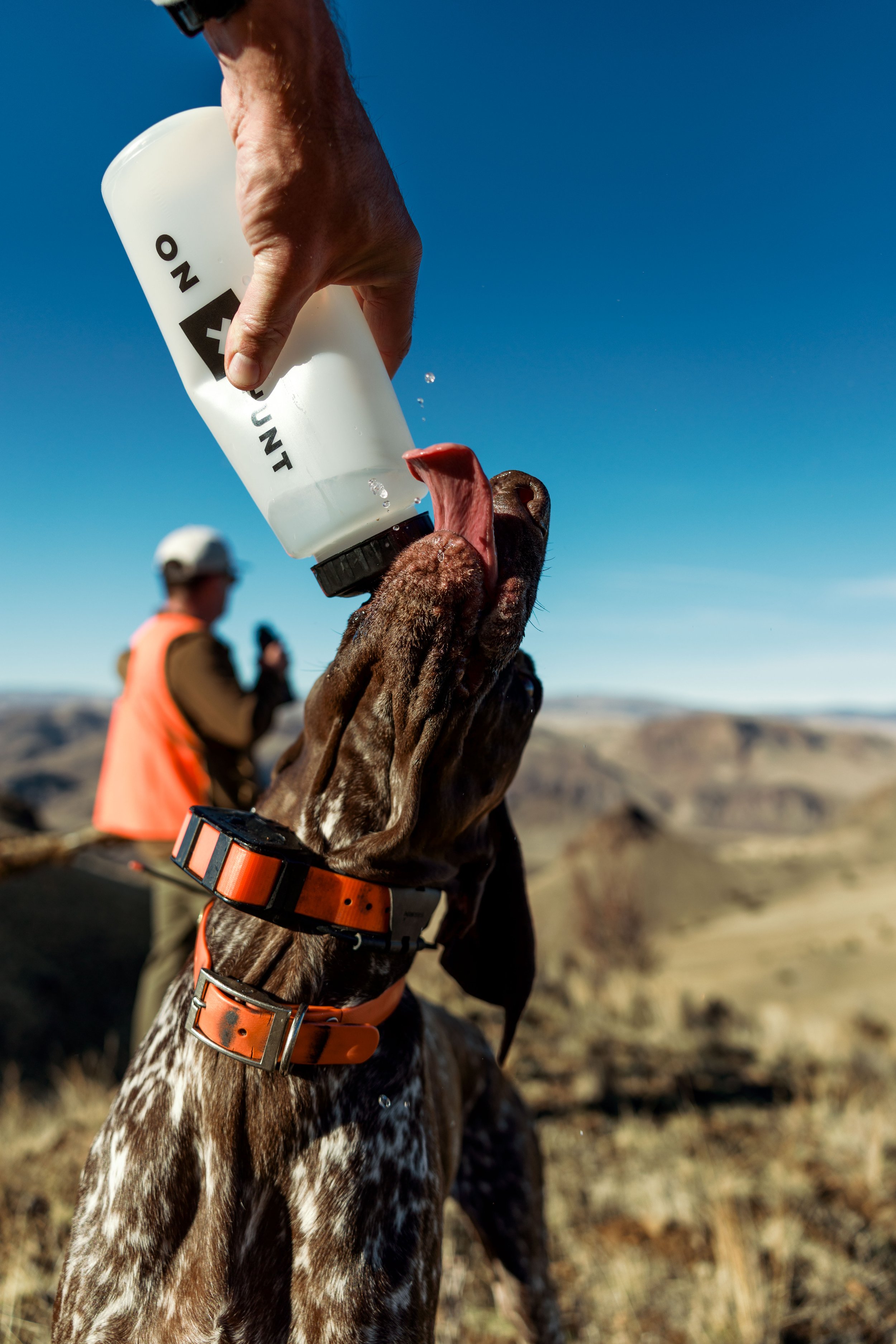 SBC Field Shots-31.jpg