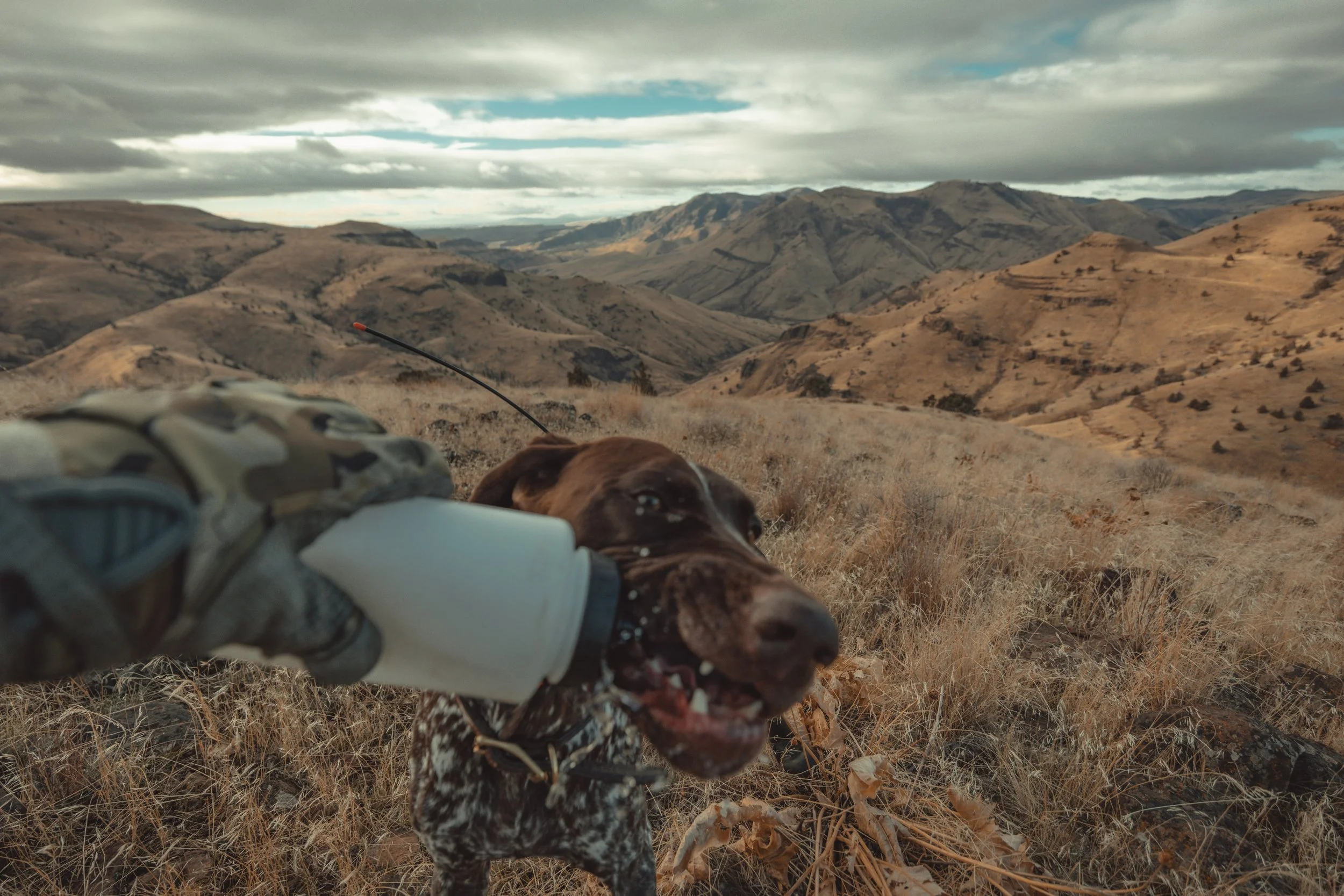 SBC Field Photos-3.jpg