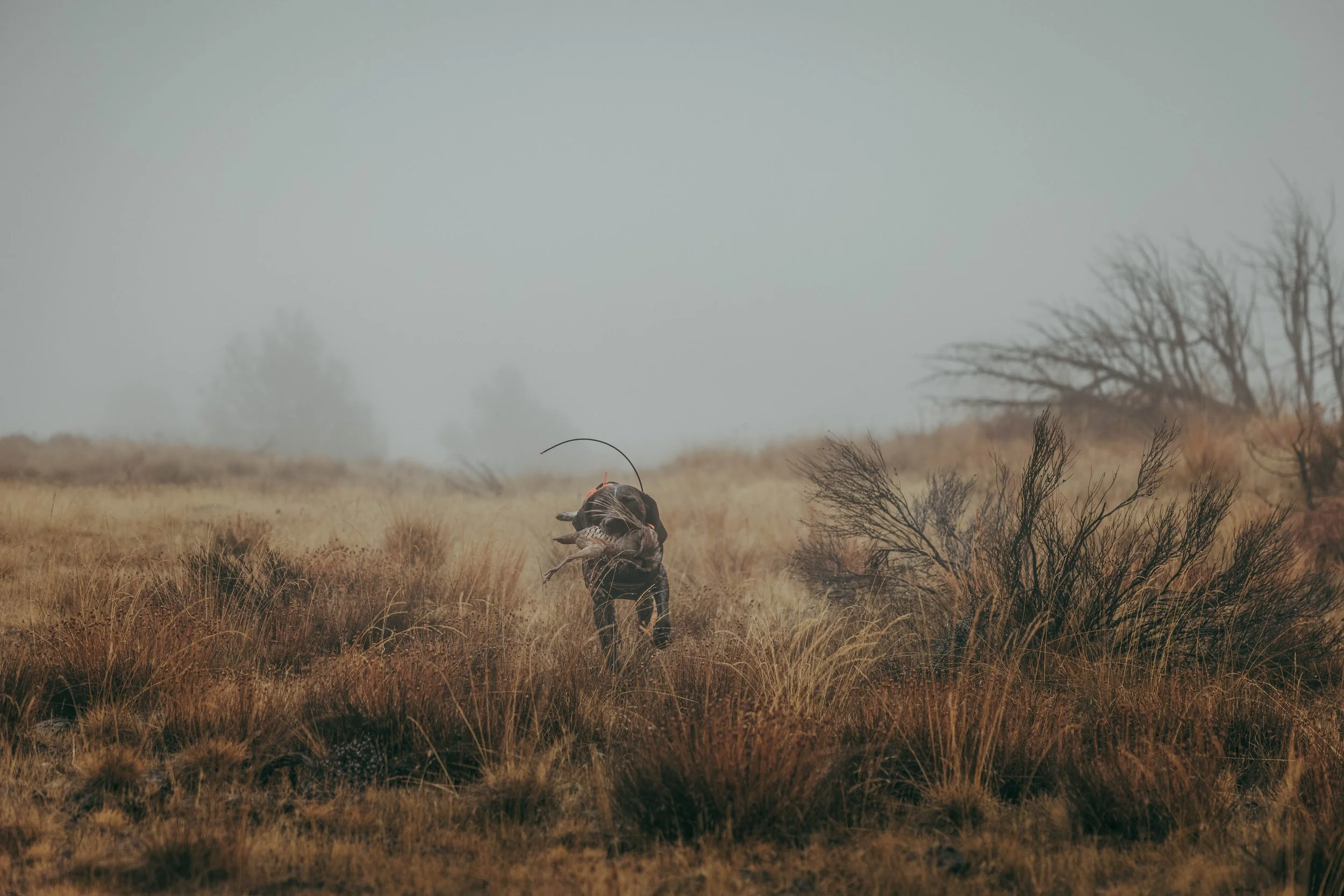 SBC Field Shots-11.jpg