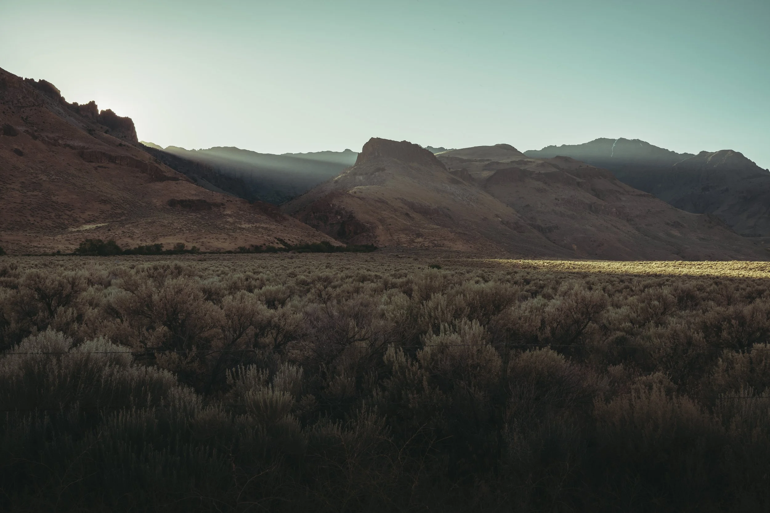 SBC Landscapes-13.jpg