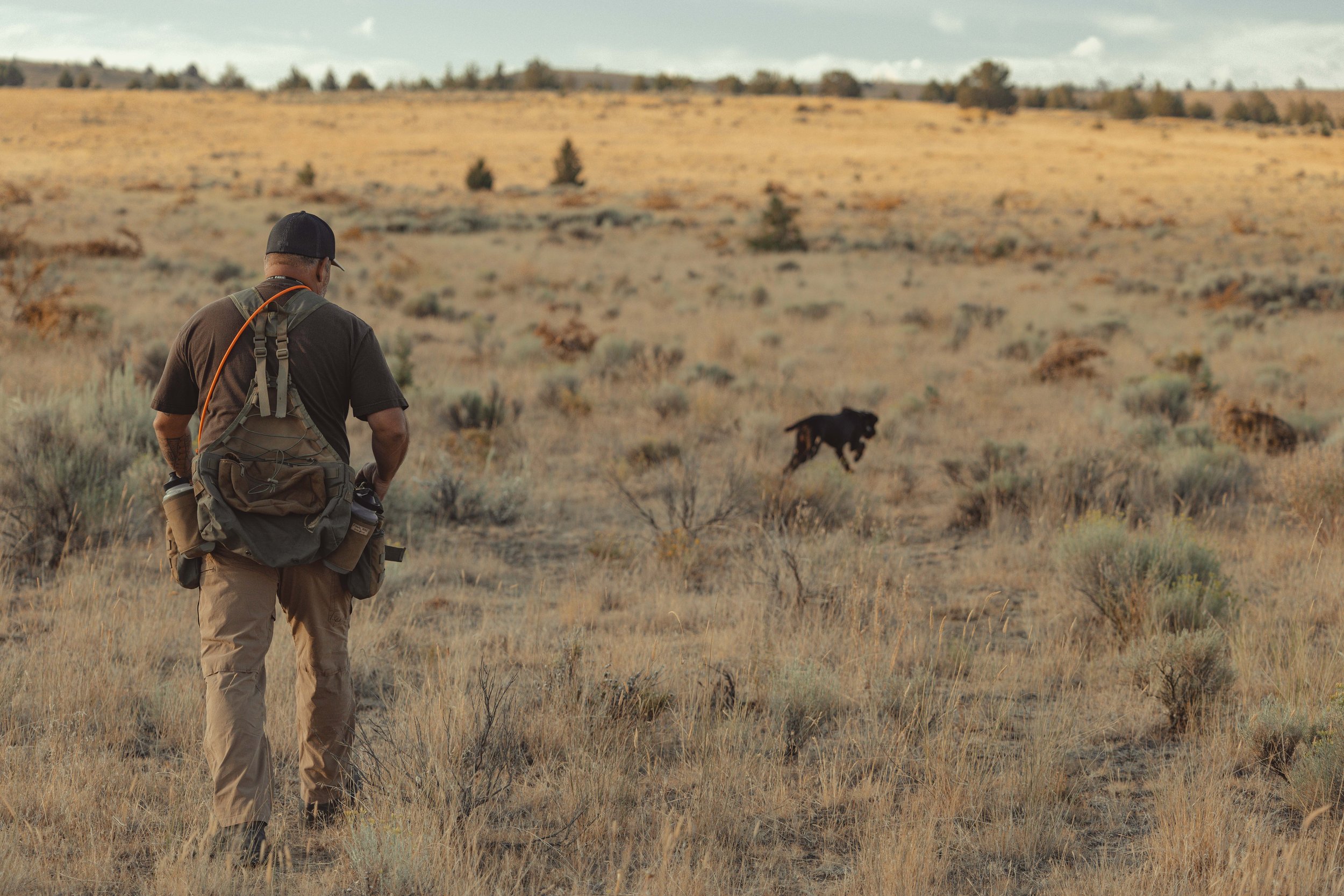 SBC dog training-33.jpg