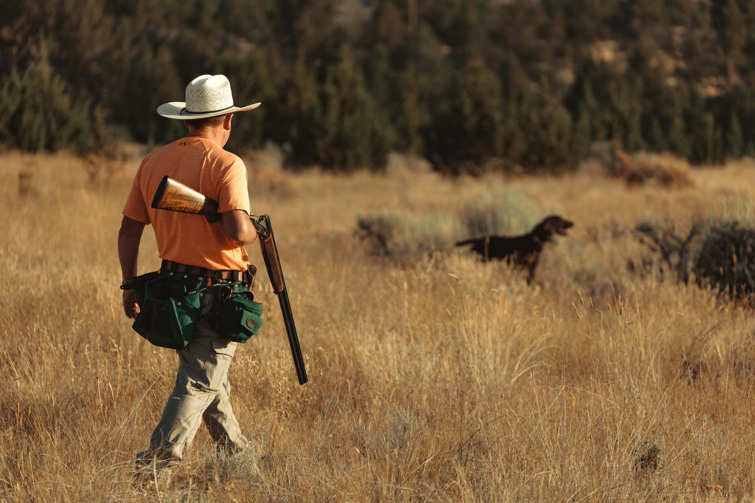 SBC Dog Training-6.jpg